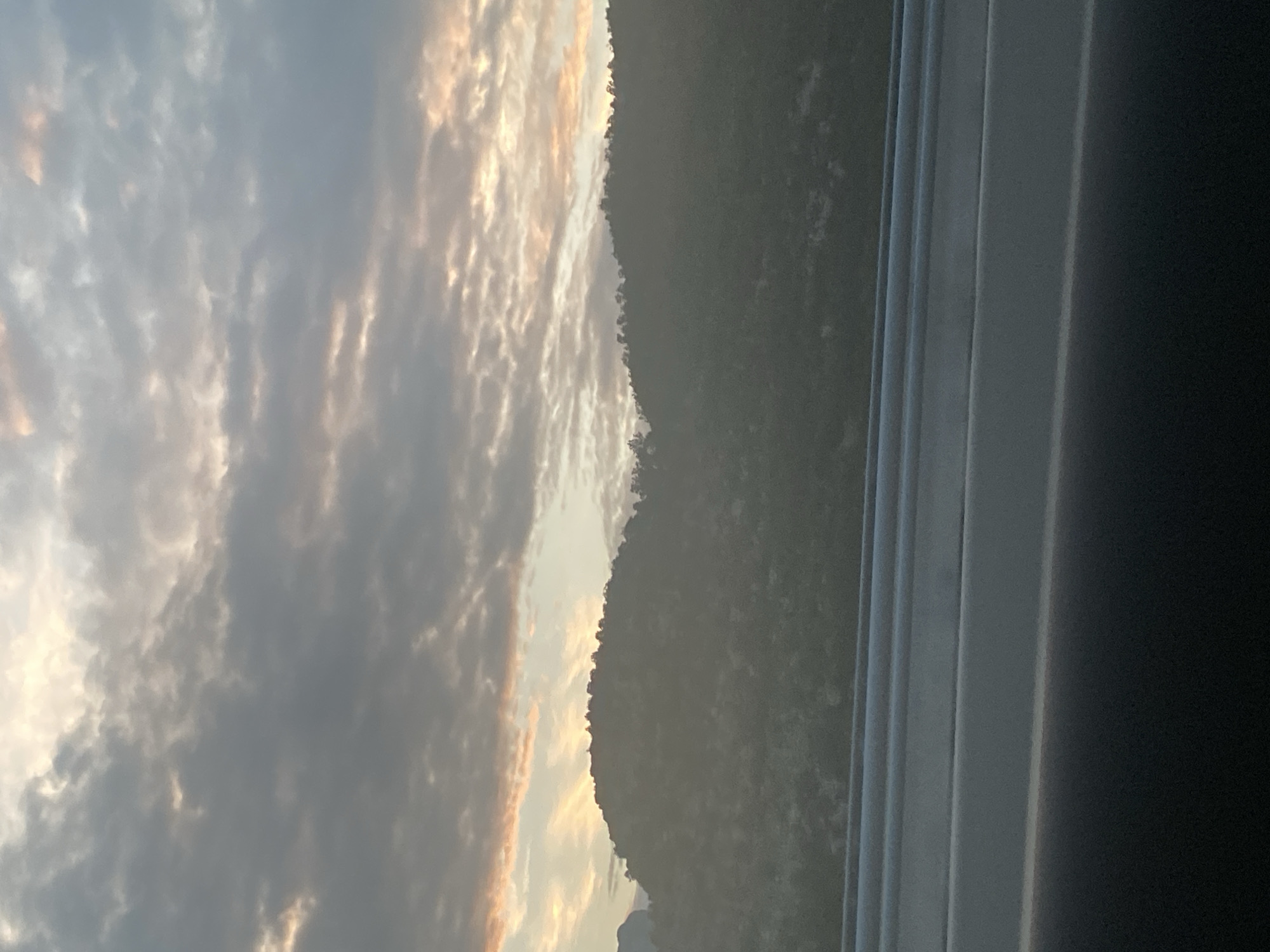 Black cat in carrier, mountain sunset, evening drive in Montenegro