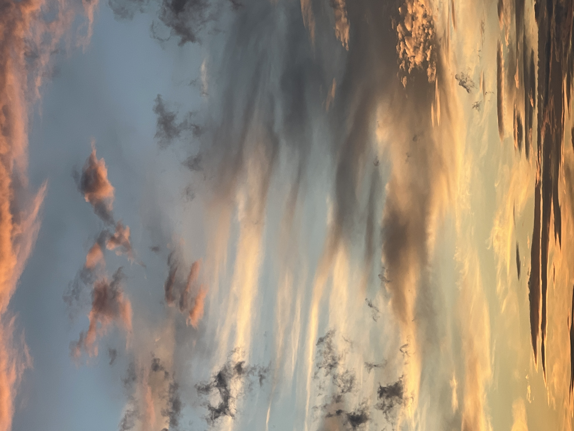 Sinyavino at golden hour: dramatic skies, delivery robots, everyday life