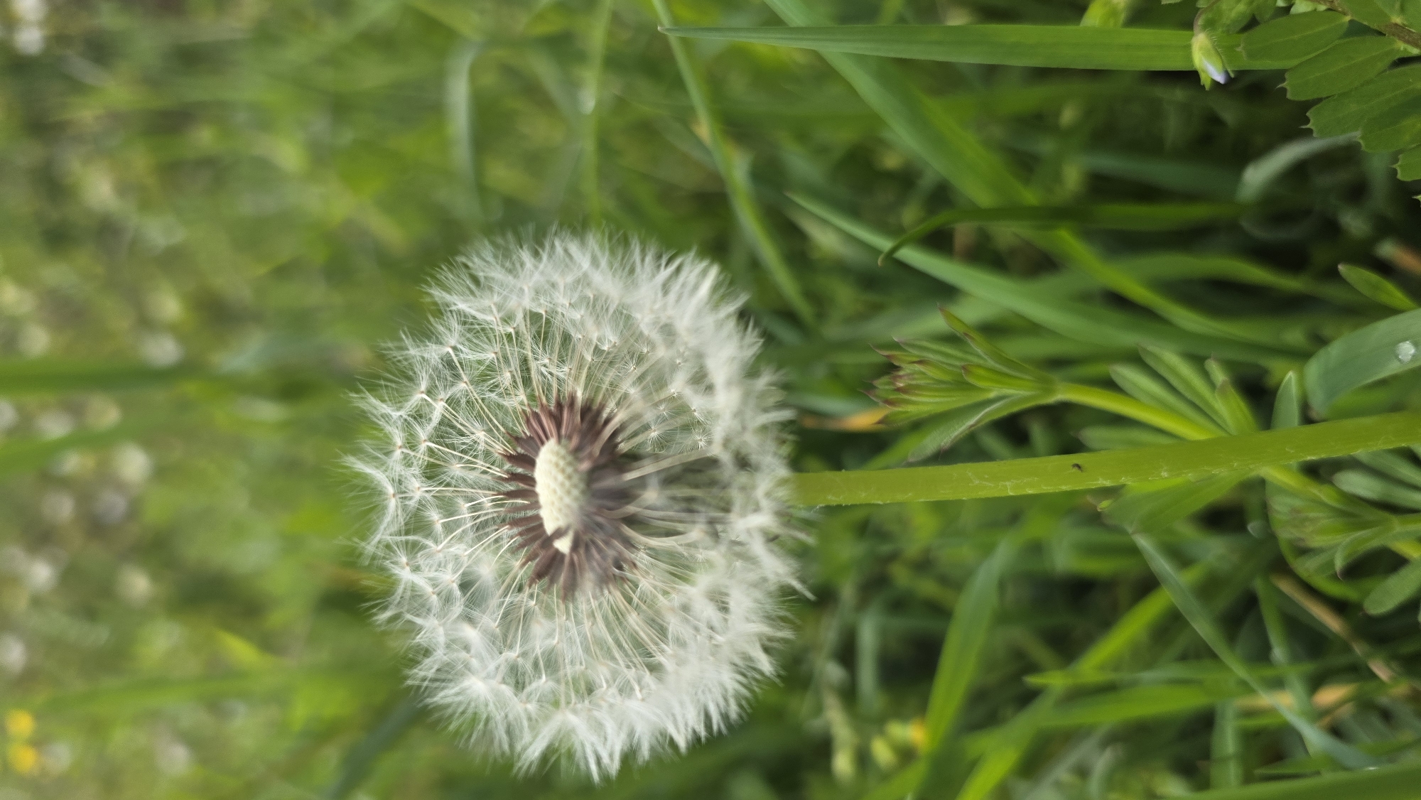 Spring nature moments captured in Blagoevgrad park setting
