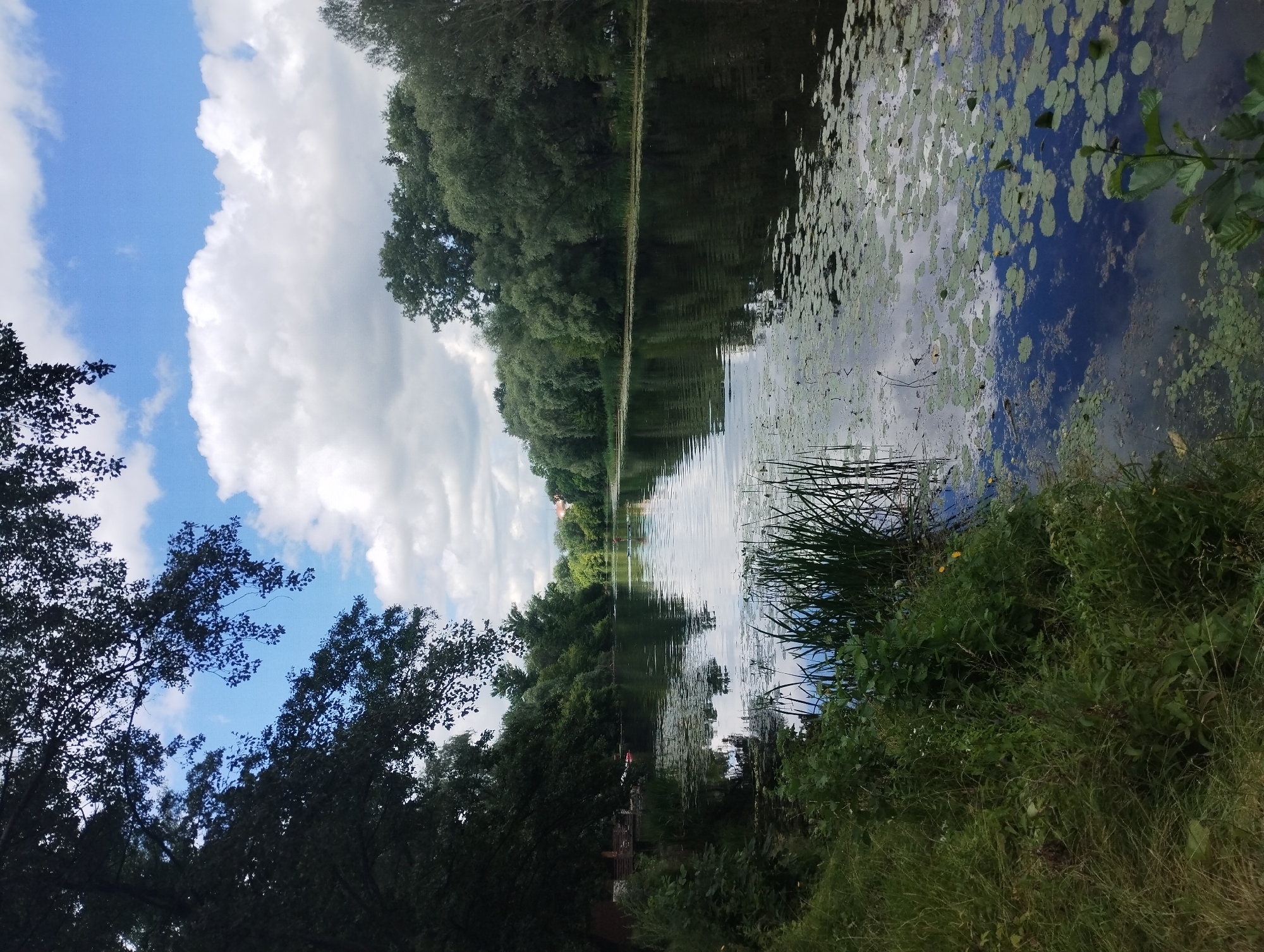 Calm morning on the Psel River, Sumy