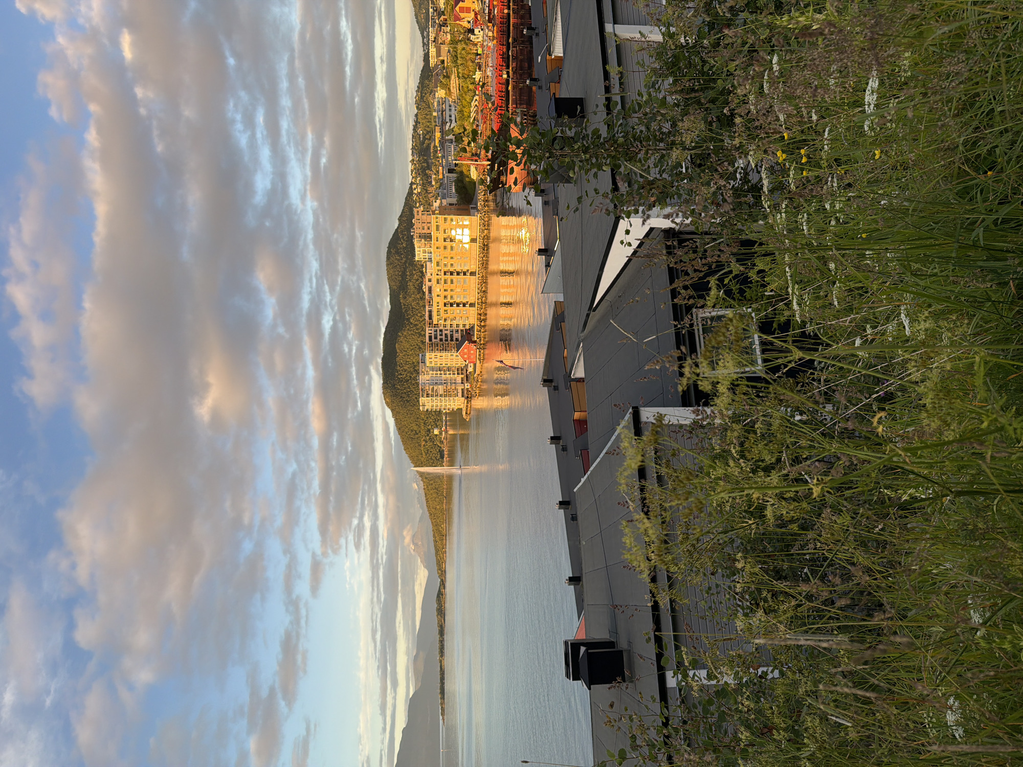 Harstad harbor at golden hour, with a calico cat