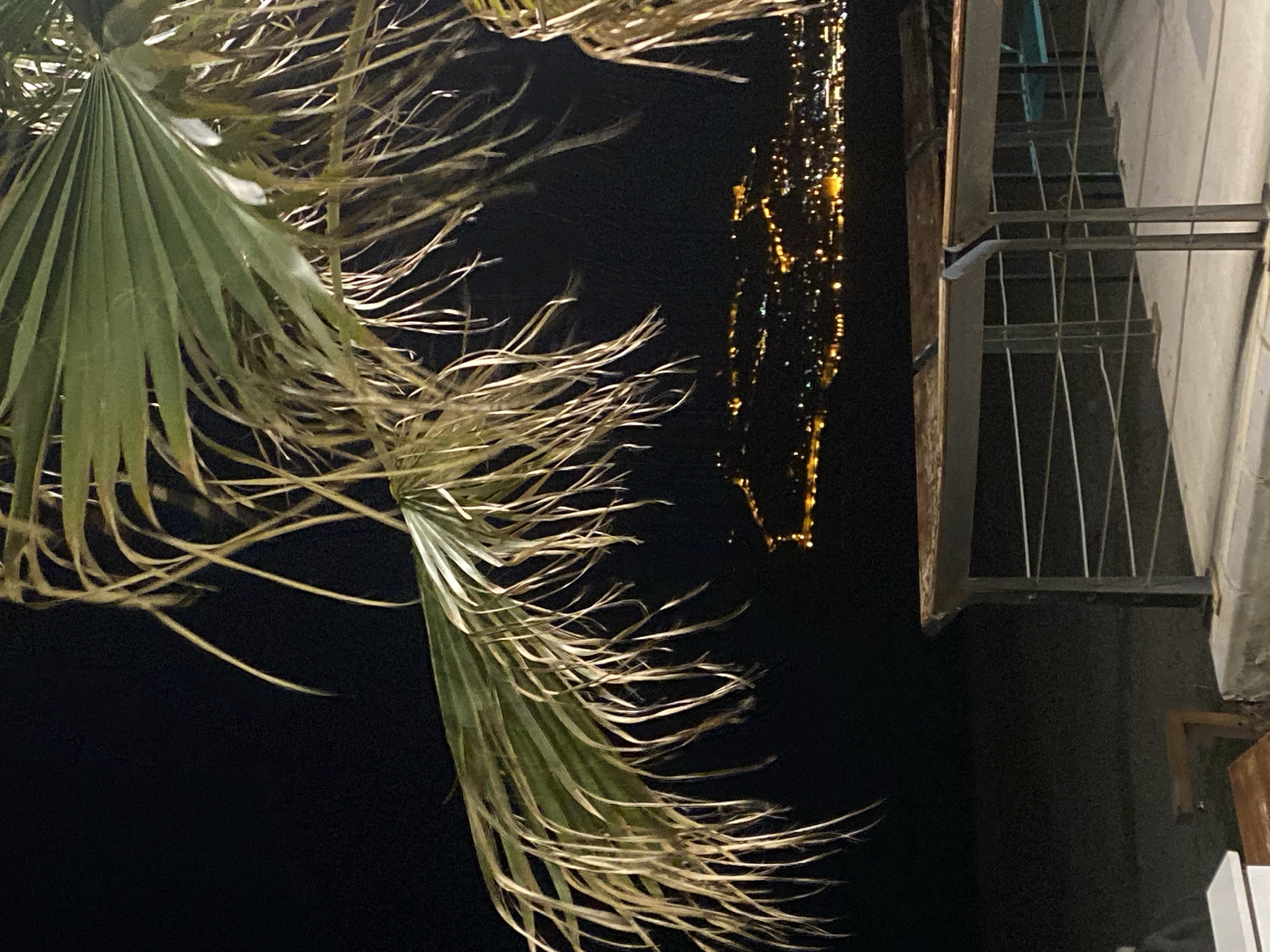 Evening stroll documented along Alanya's illuminated seaside promenade