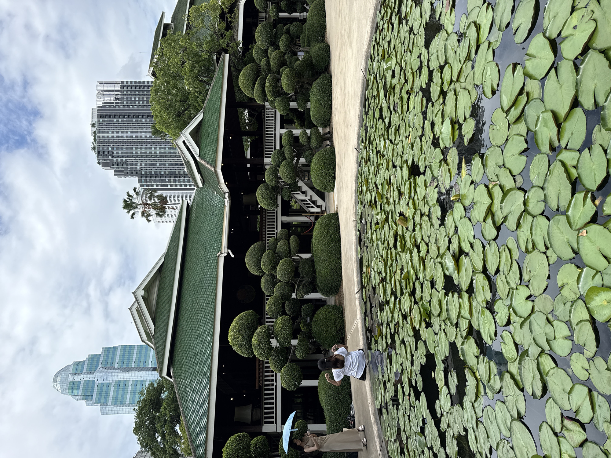 Morning tranquility captured at Bangkok's Lumphini Park amid urban skyline