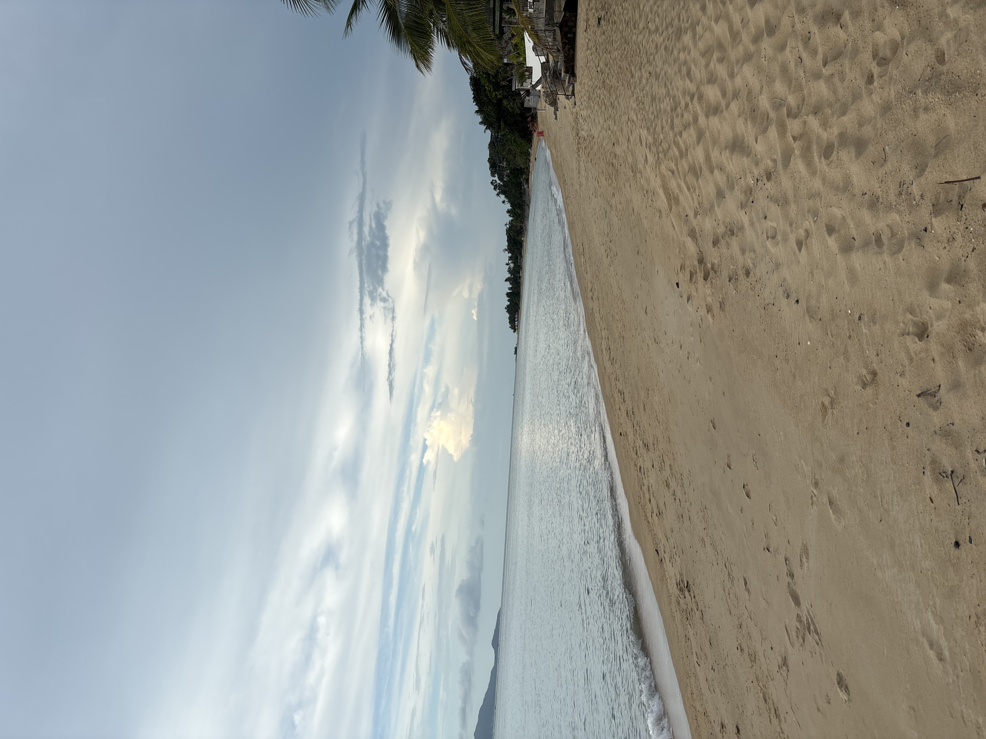 Woman walks three dogs on Thai beach morning