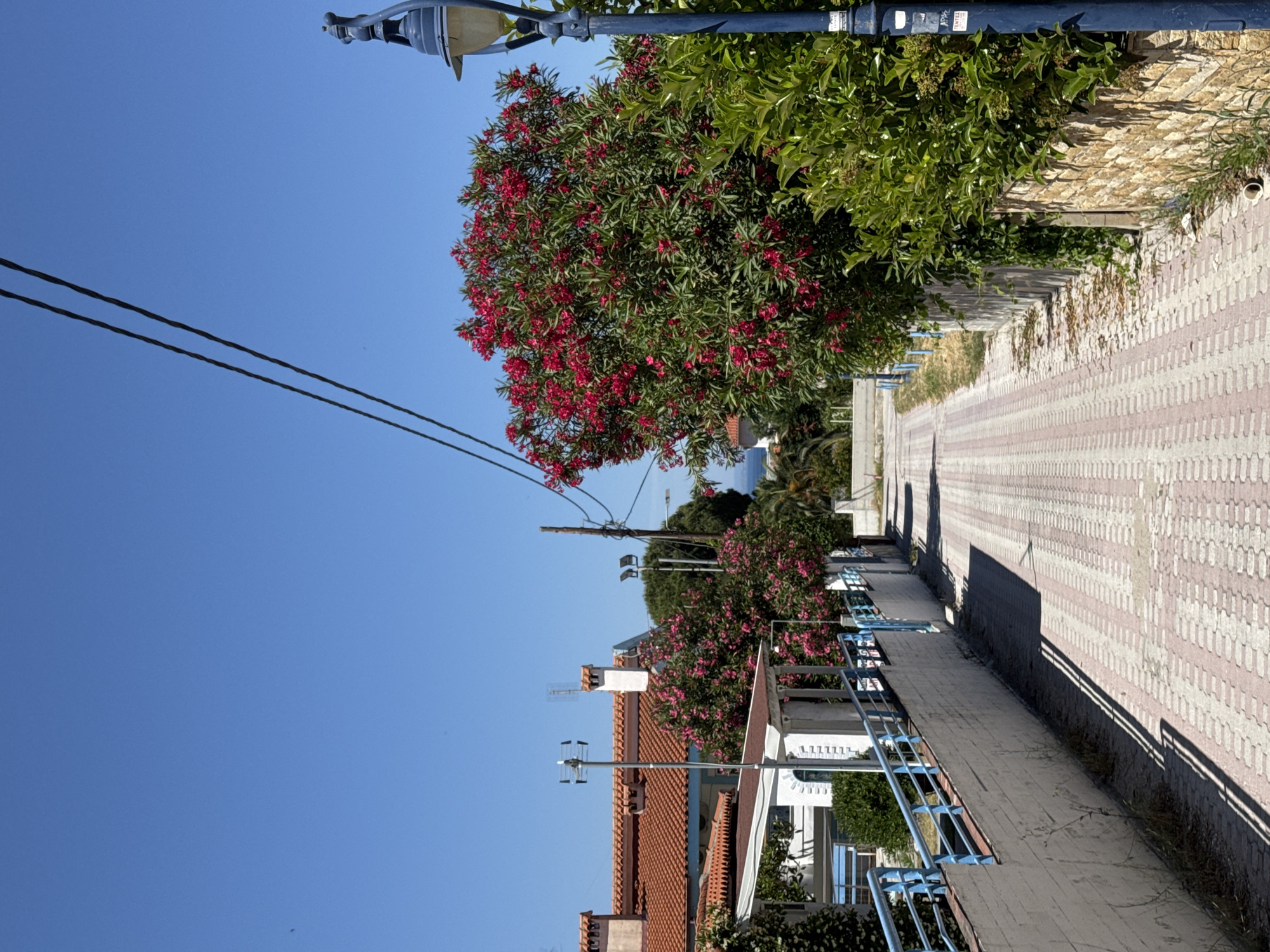Beachgoer's hour-long visit documented in Pallini Municipal Unit, Greece