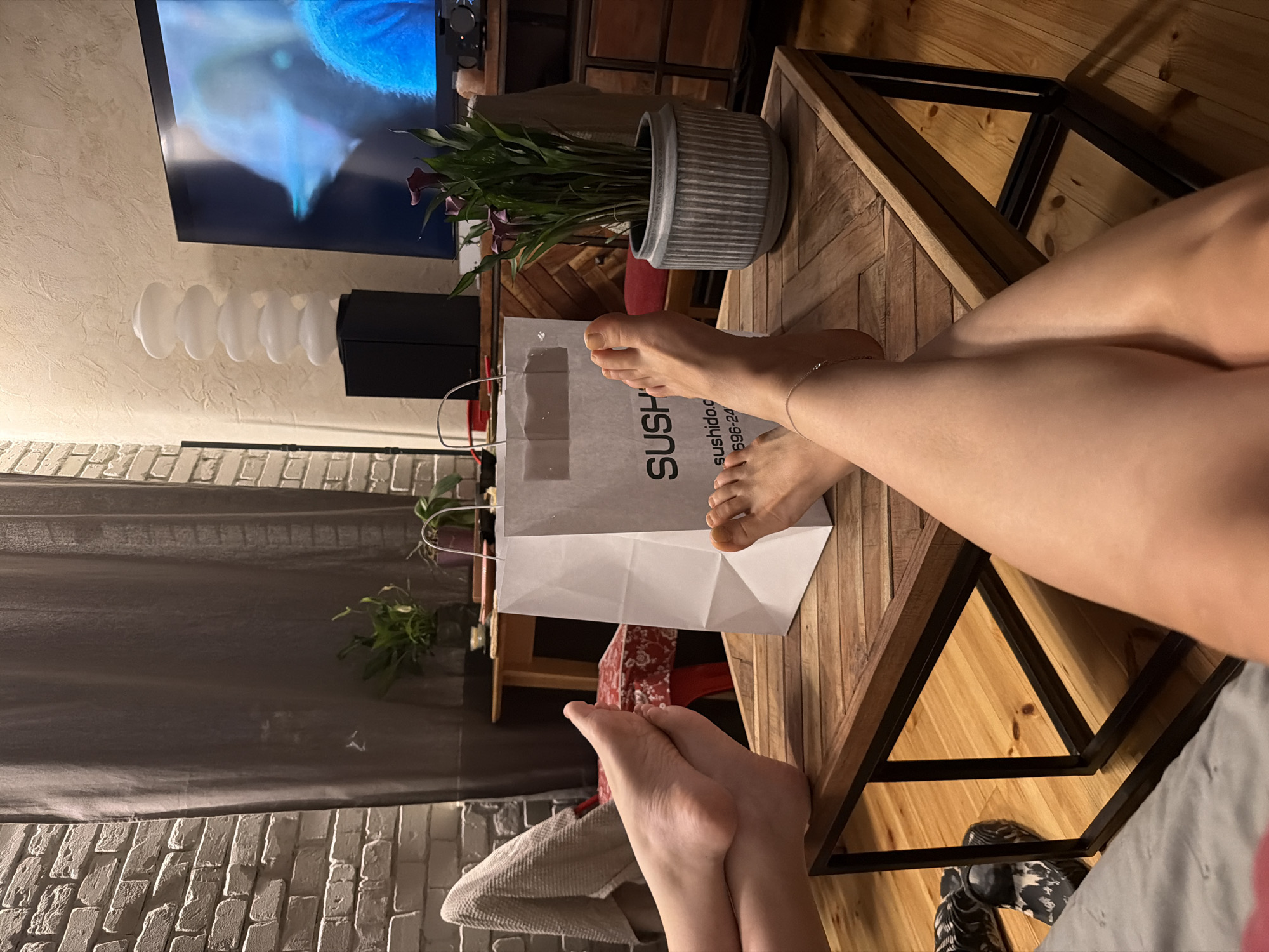 Sushi night in with a sleepy dog, Wrocław