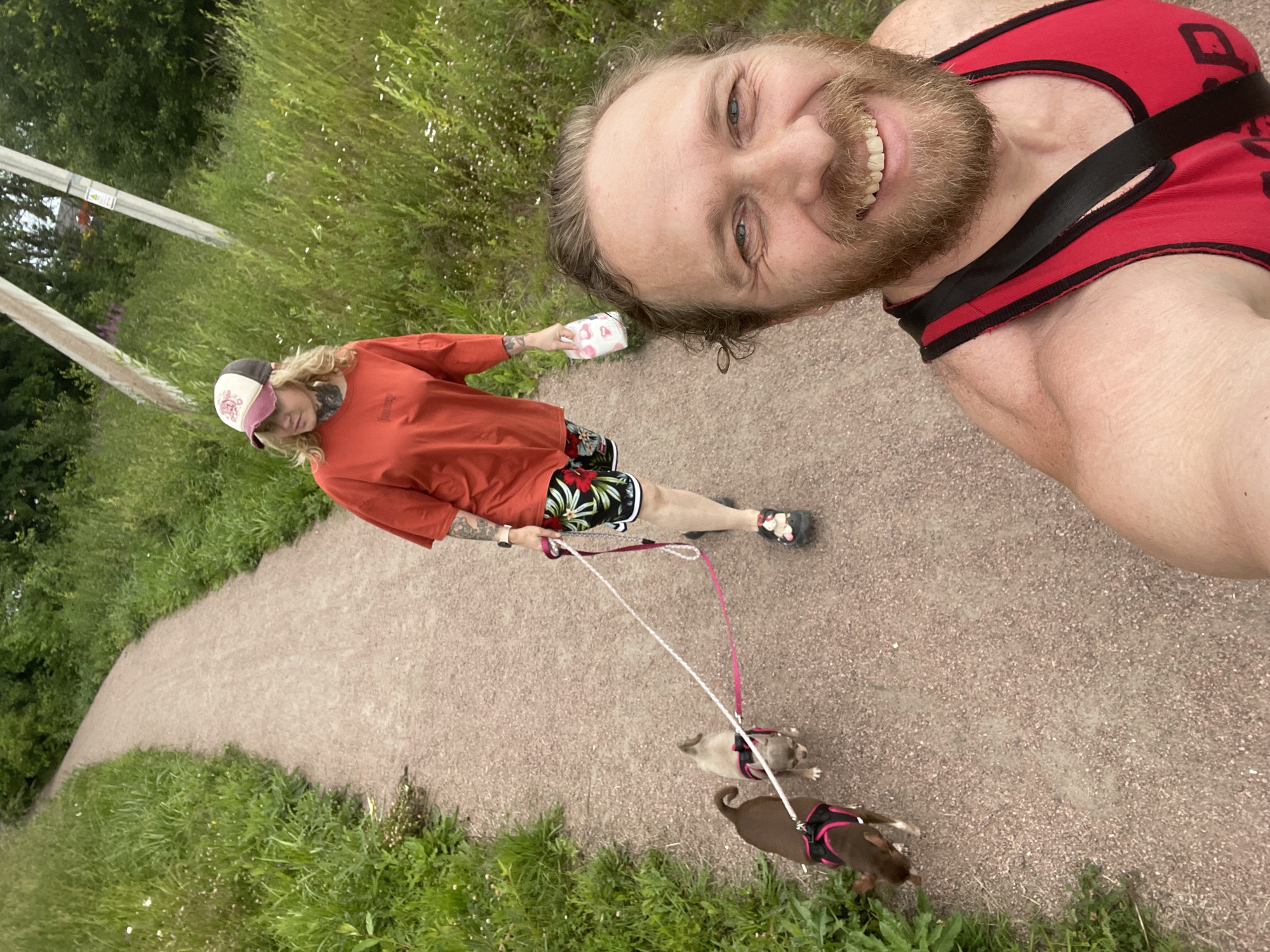Afternoon walk with dogs on a gravel path in Kornevo