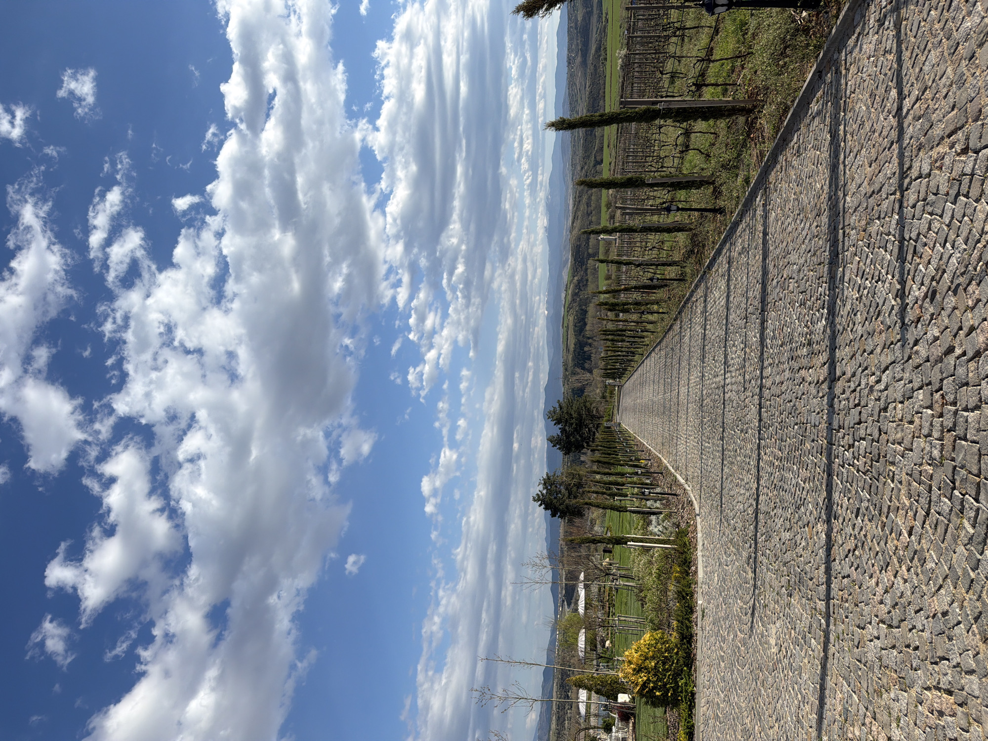 Historic stone tower and vineyard documented in Kocherinovo, Bulgaria