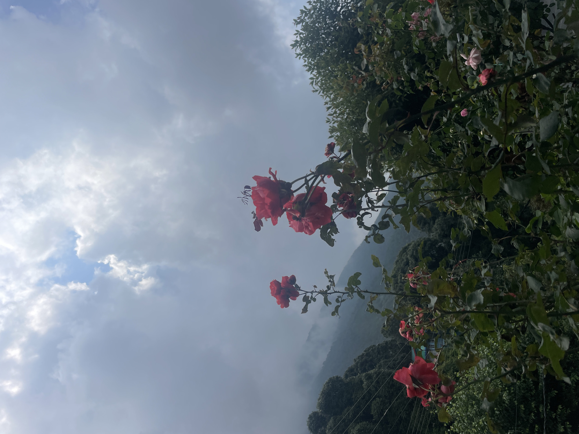 Foggy morning in Bhagsu as rain settles over the hillside