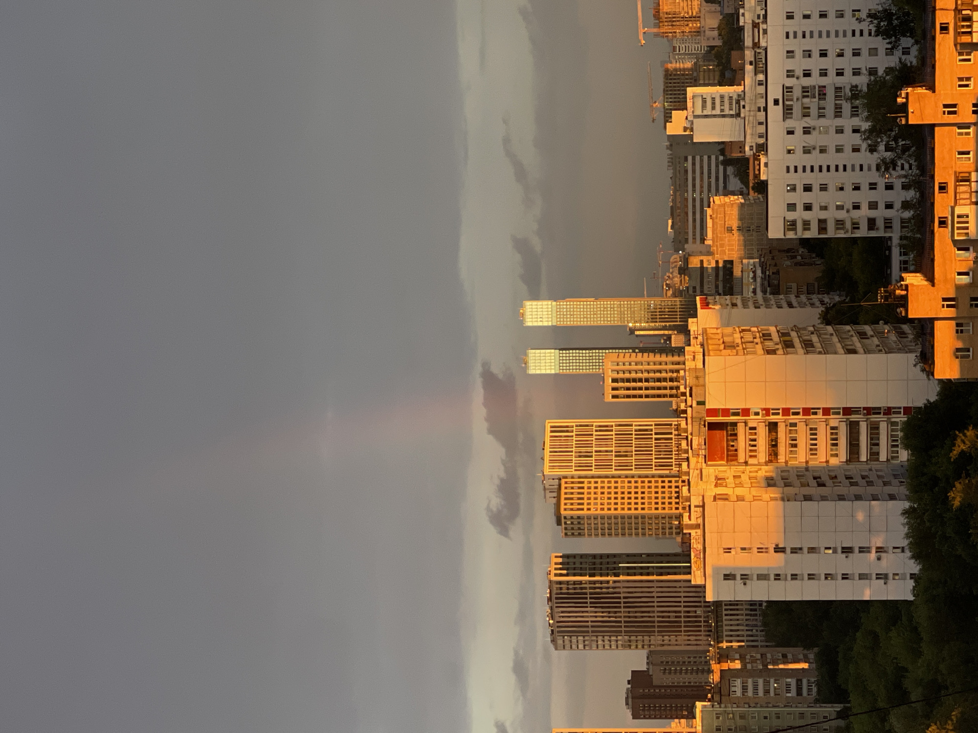 City skyline at golden hour, multiple angles including a bus interior
