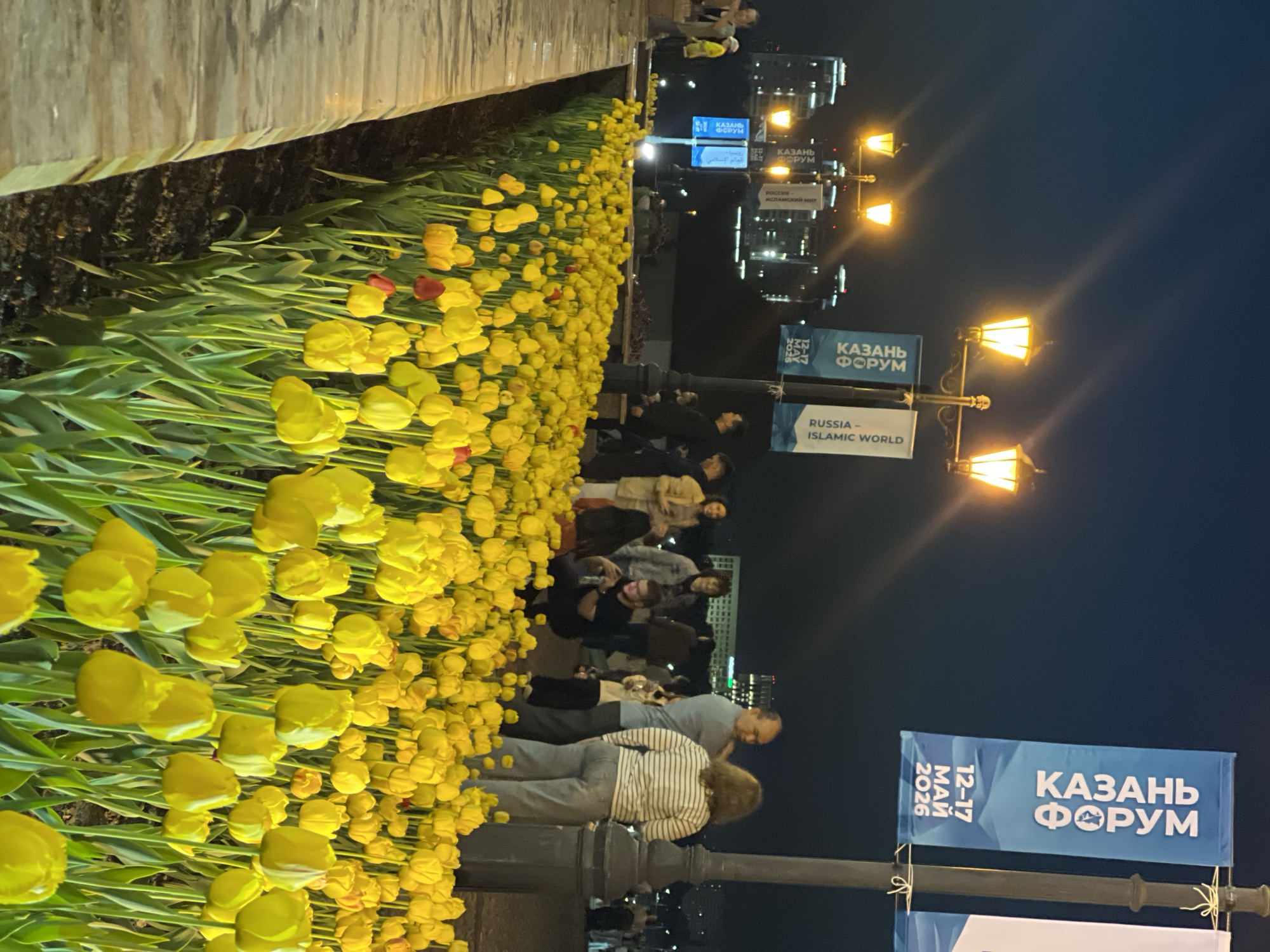 Evening strollers enjoy tulip-lined walkway in Kazan