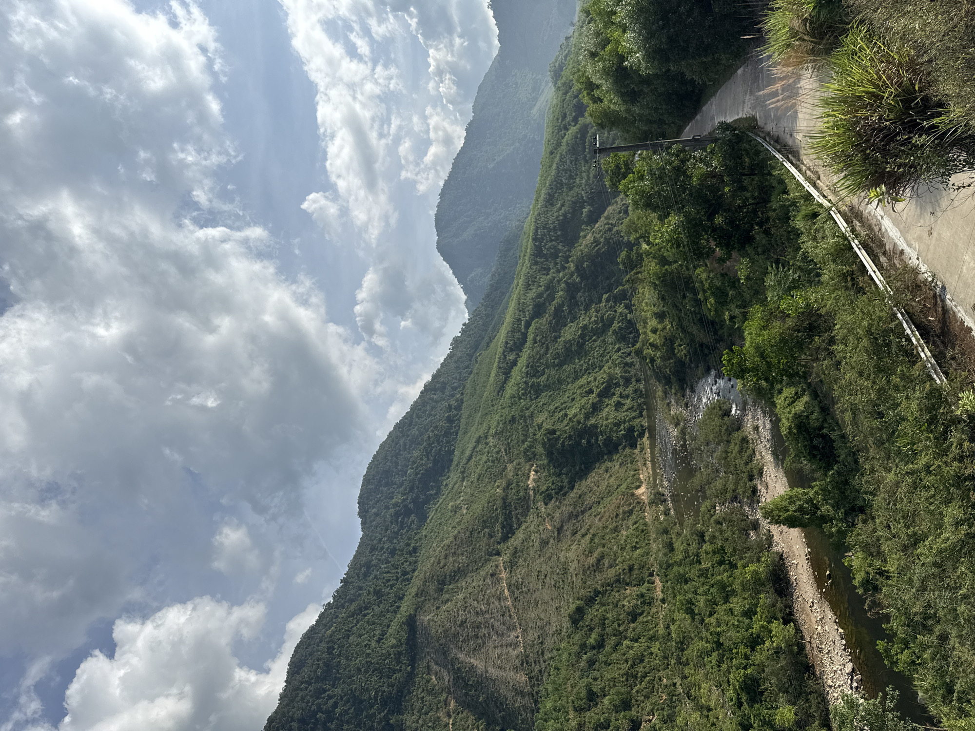 Pink-haired motorcyclist travels mountain road near Đà Nẵng