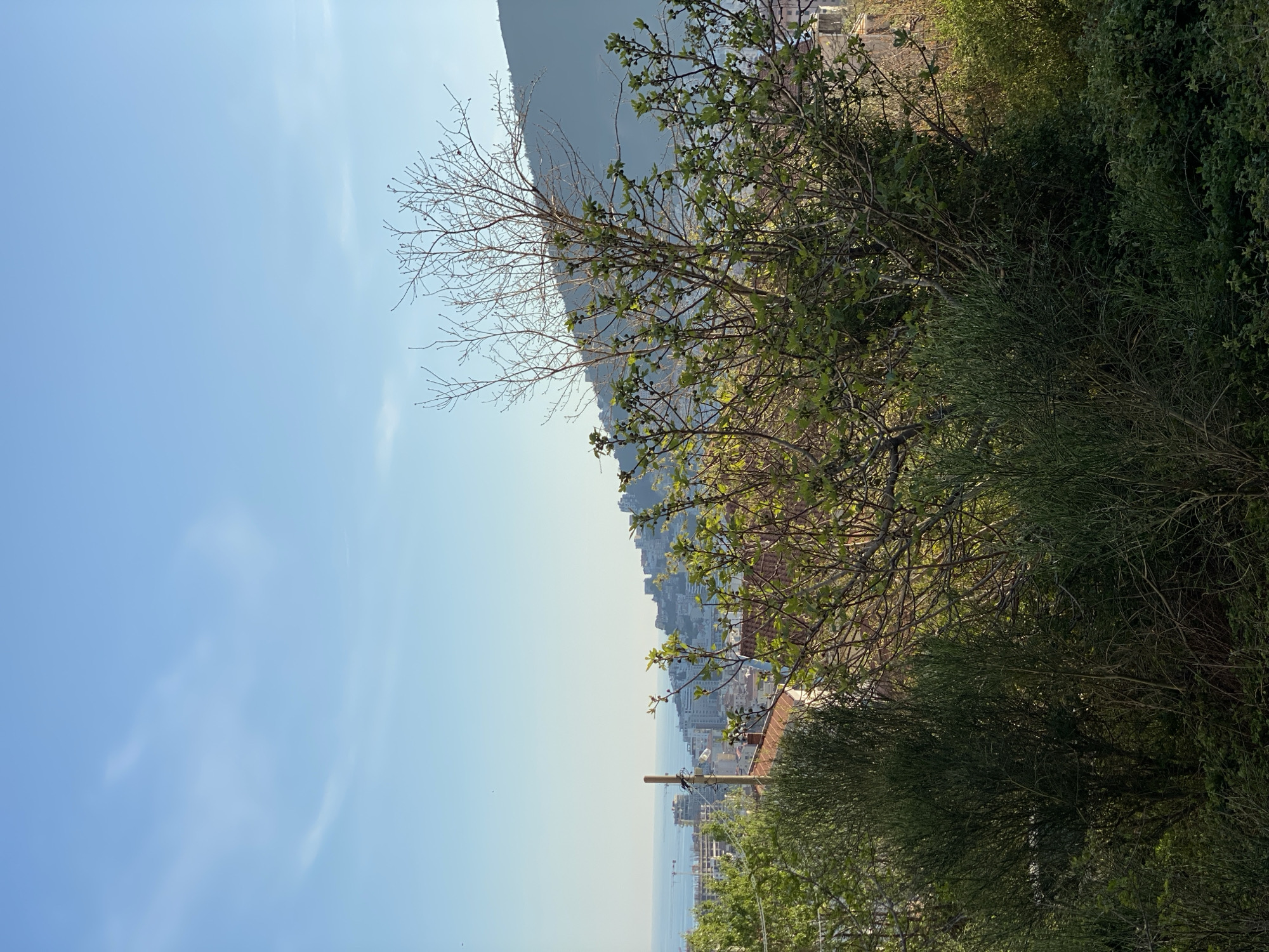 Spring afternoon observations captured across coastal Budva, Montenegro