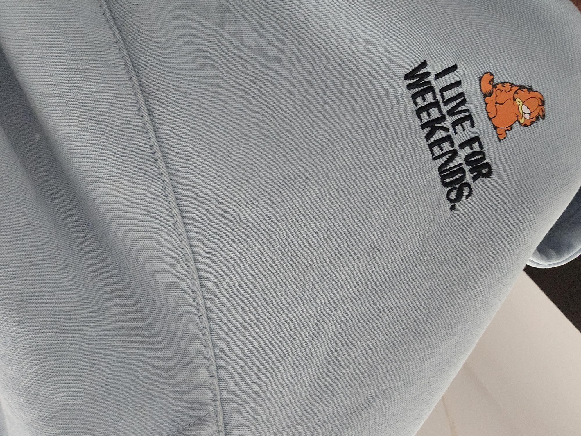 Garfield sweatshirt and sleeping dog documented in Belitsa, Bulgaria