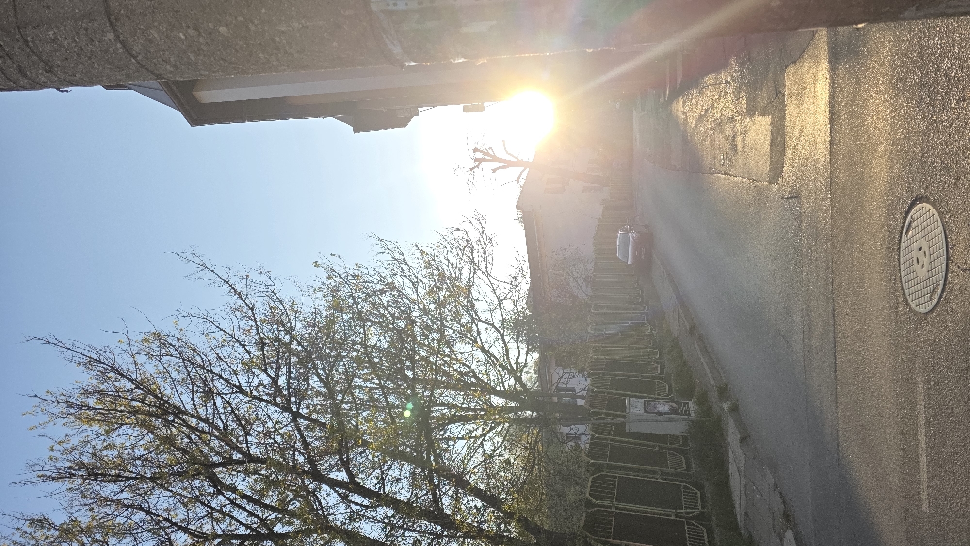 Spring street scenes documented in Blagoevgrad residential area