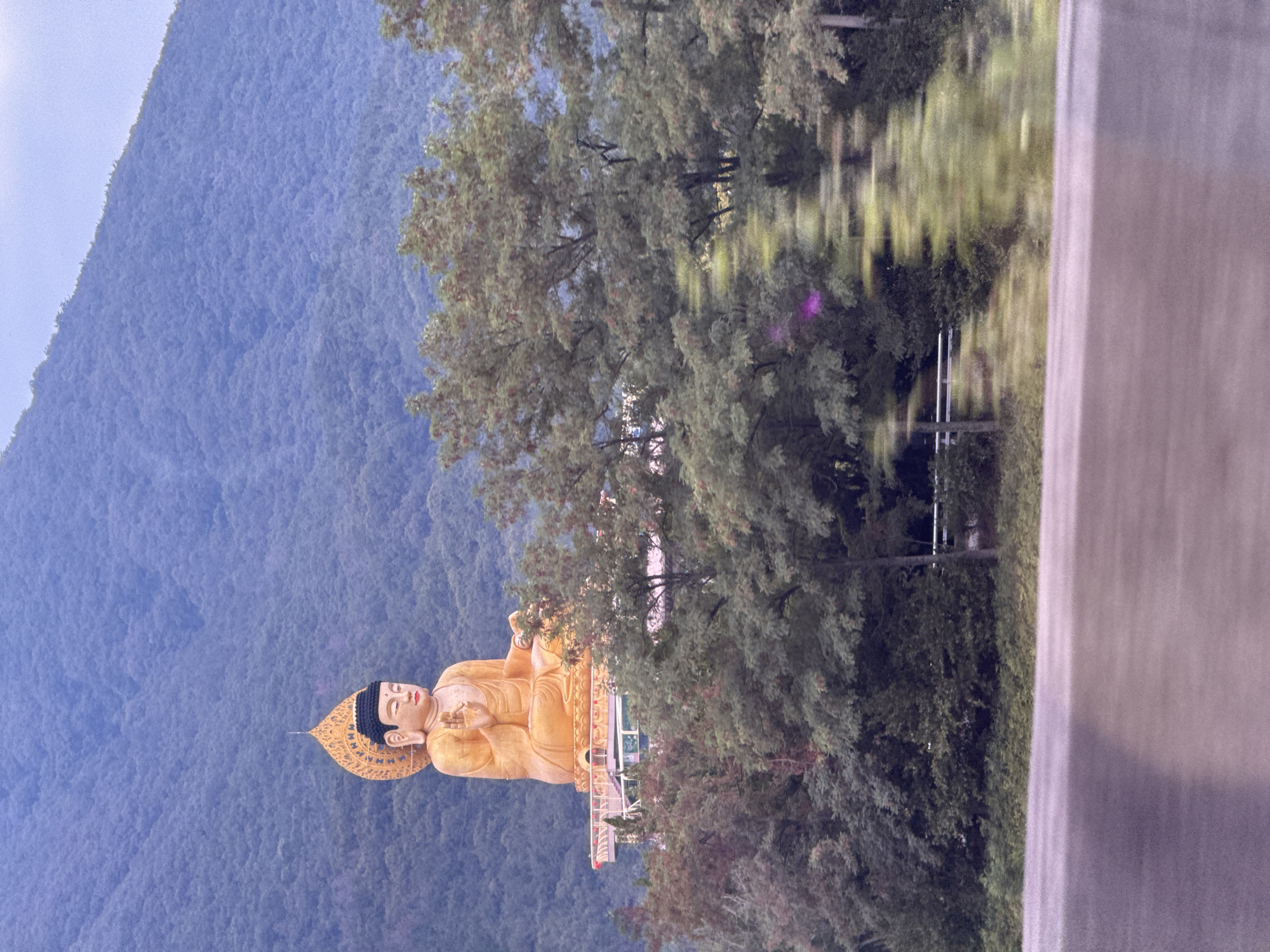 Golden seated Buddha against forested hillside in Busan