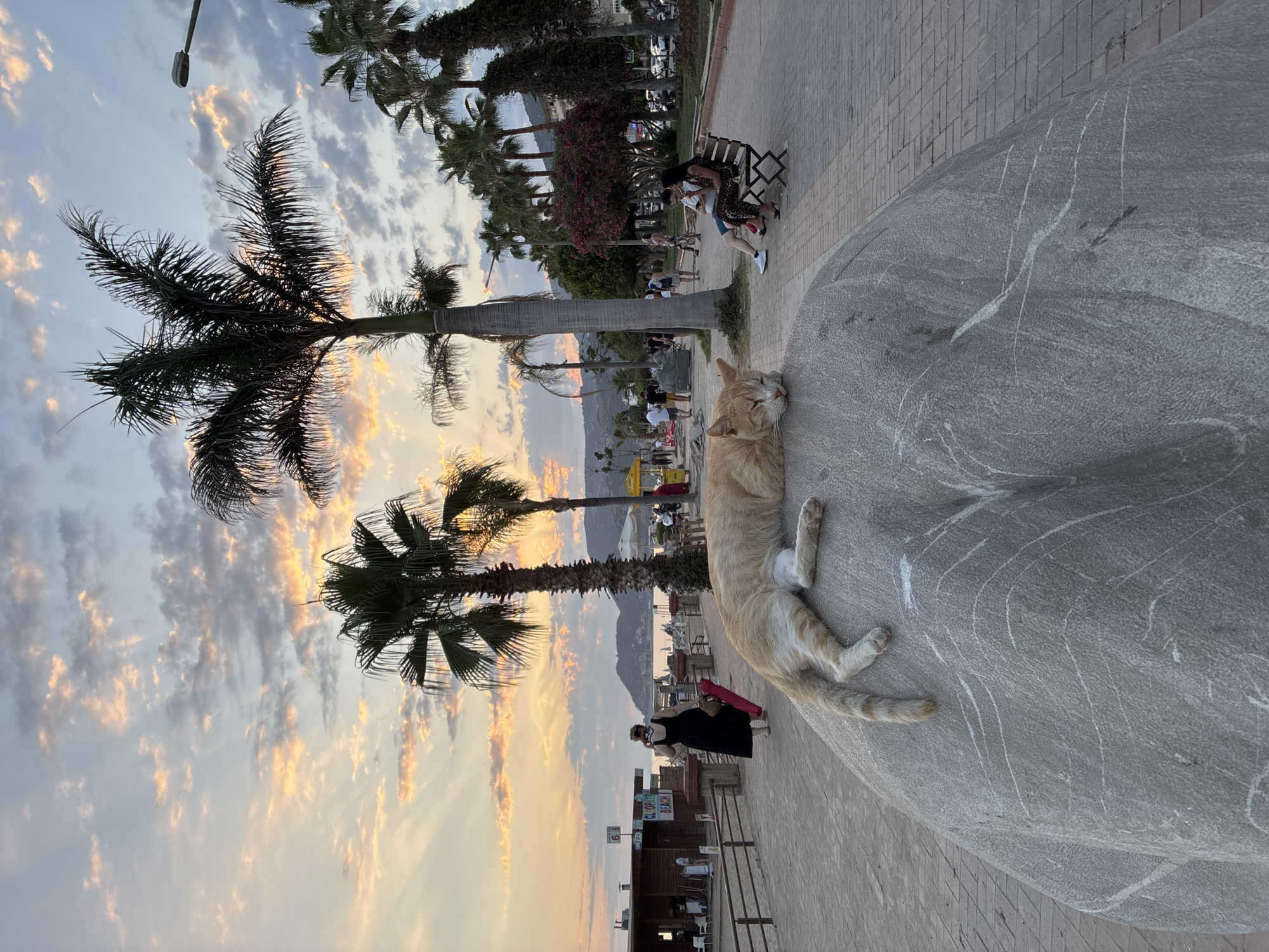 Alanya at sunset: beach cats, glowing fountains, and evening calm