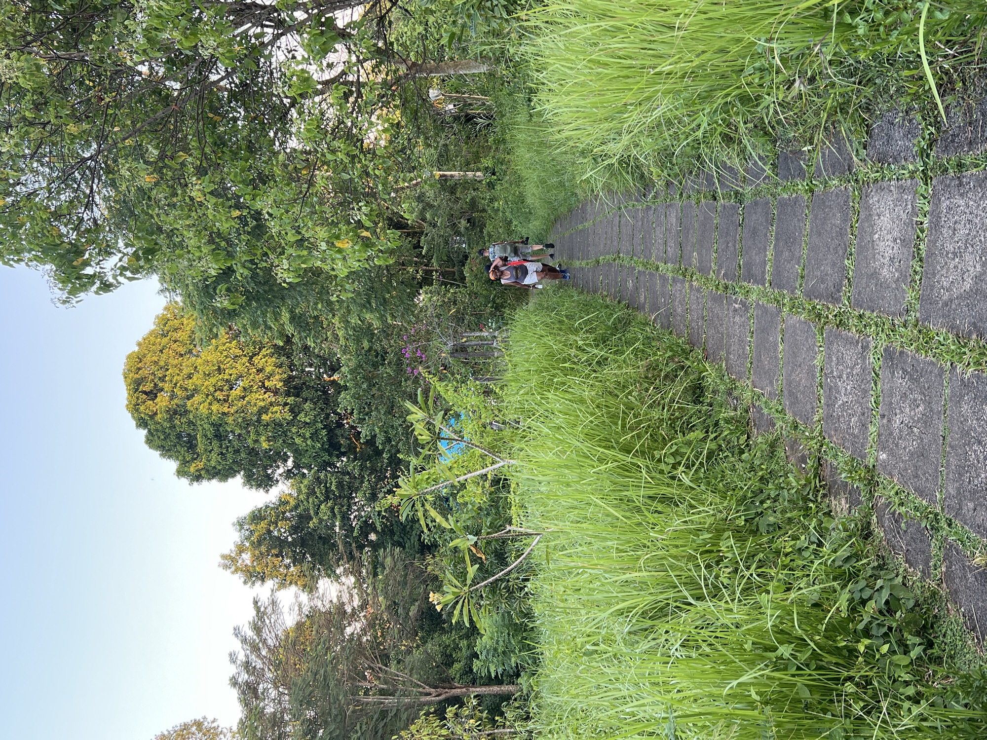 Tourists explore stone pathway through lush Ubud landscape