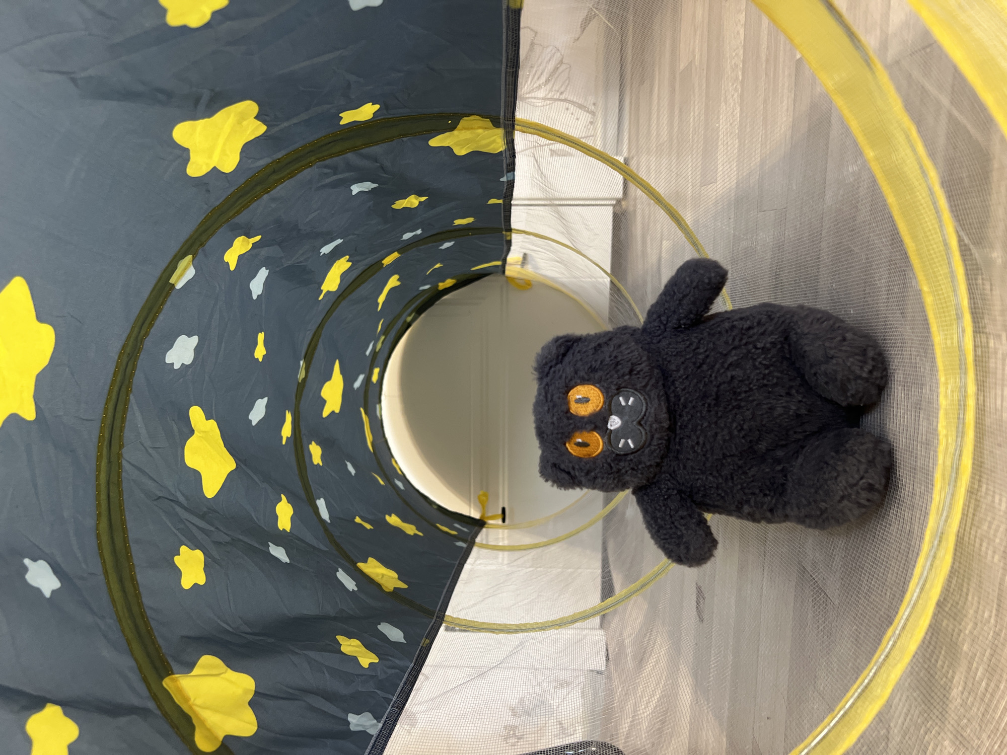 Morning playtime documented in Yekaterinburg home