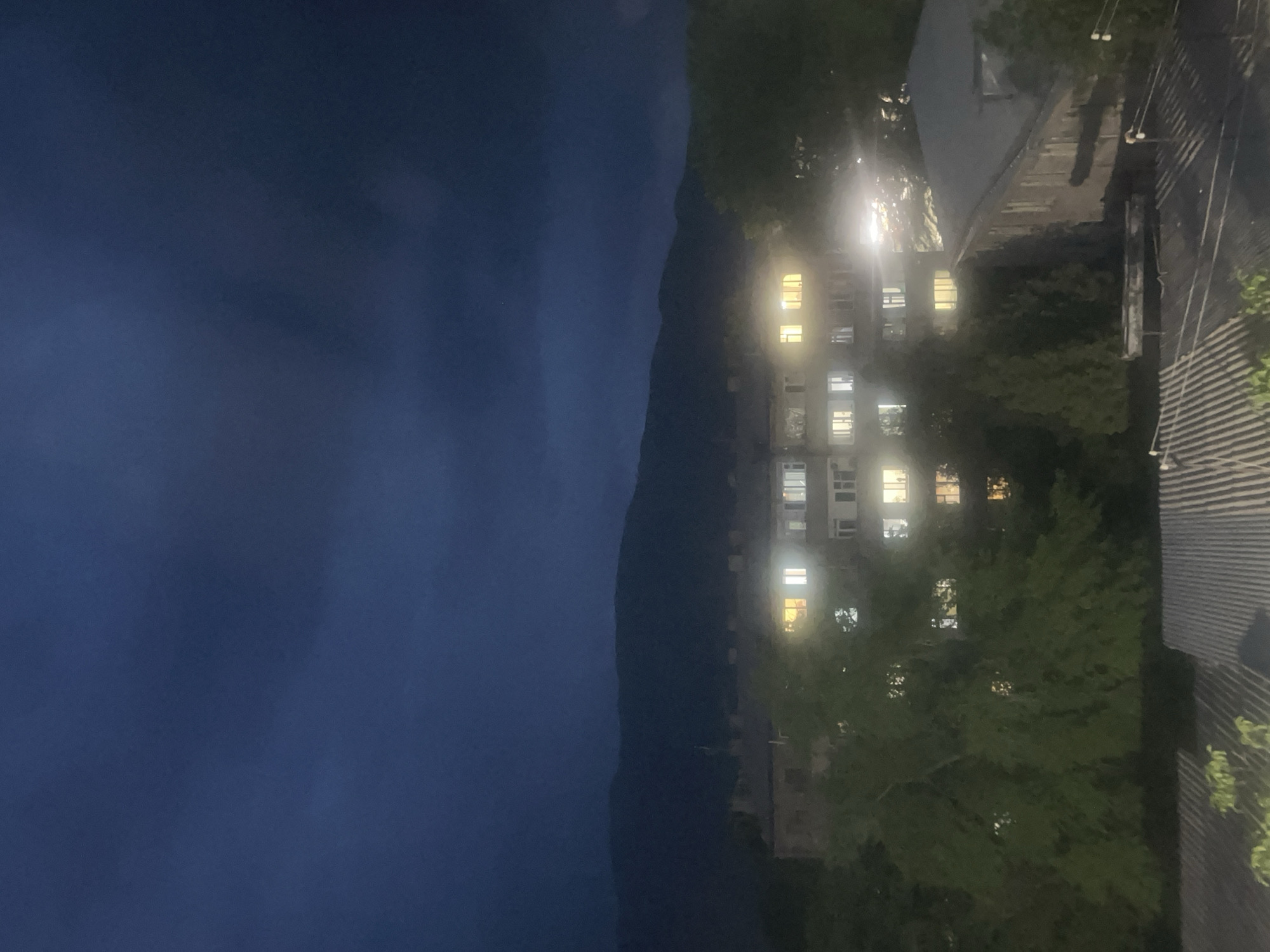 Nighttime apartment building photographed through tree foliage