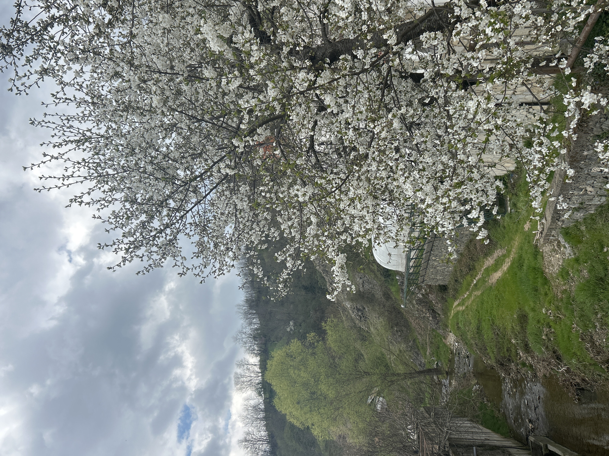 Quiet Sunday morning captured in Zlatograd, Bulgaria springtime scenes