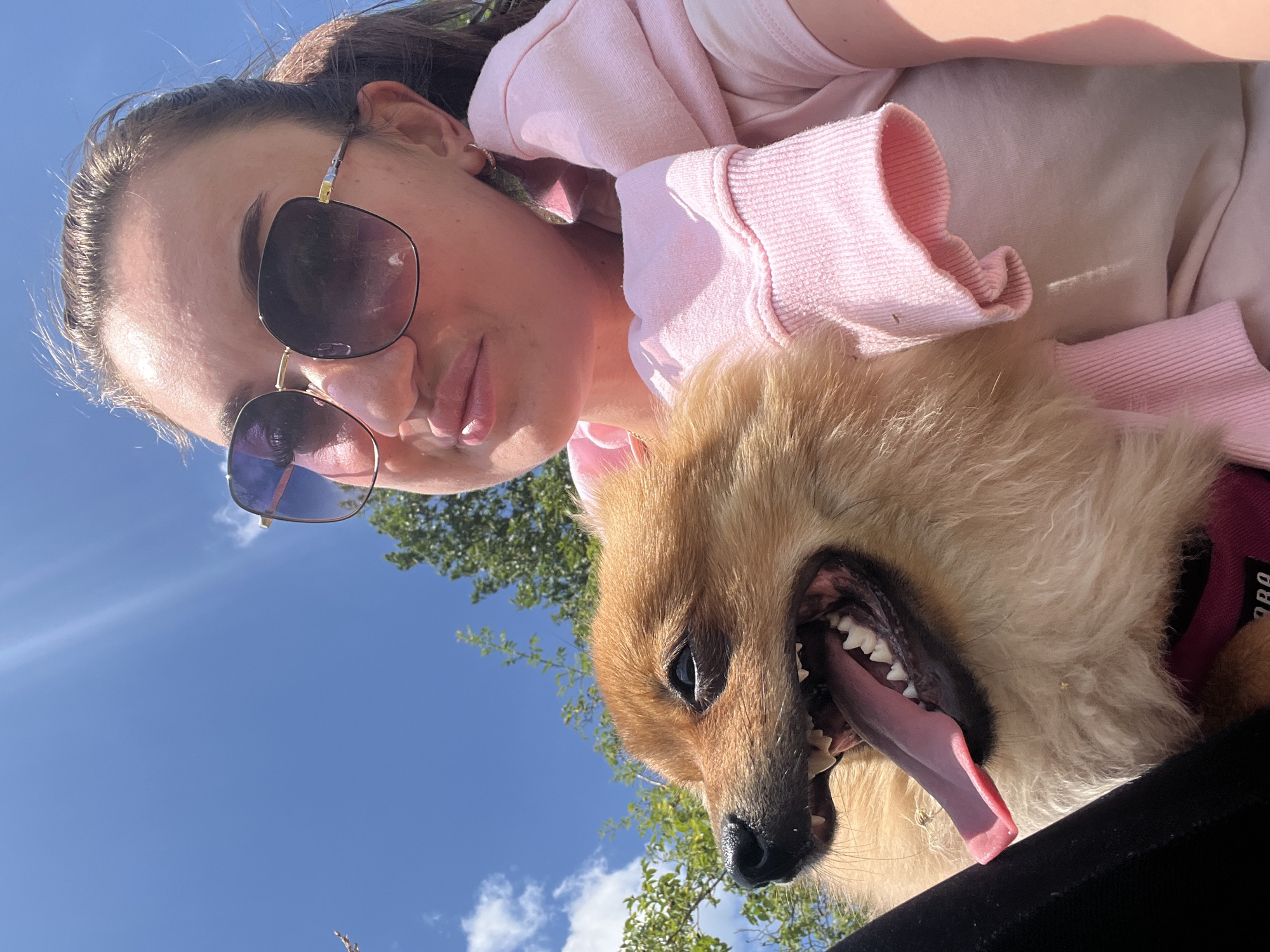 Sunny hilltop afternoon in Karniowice with a dog in tow
