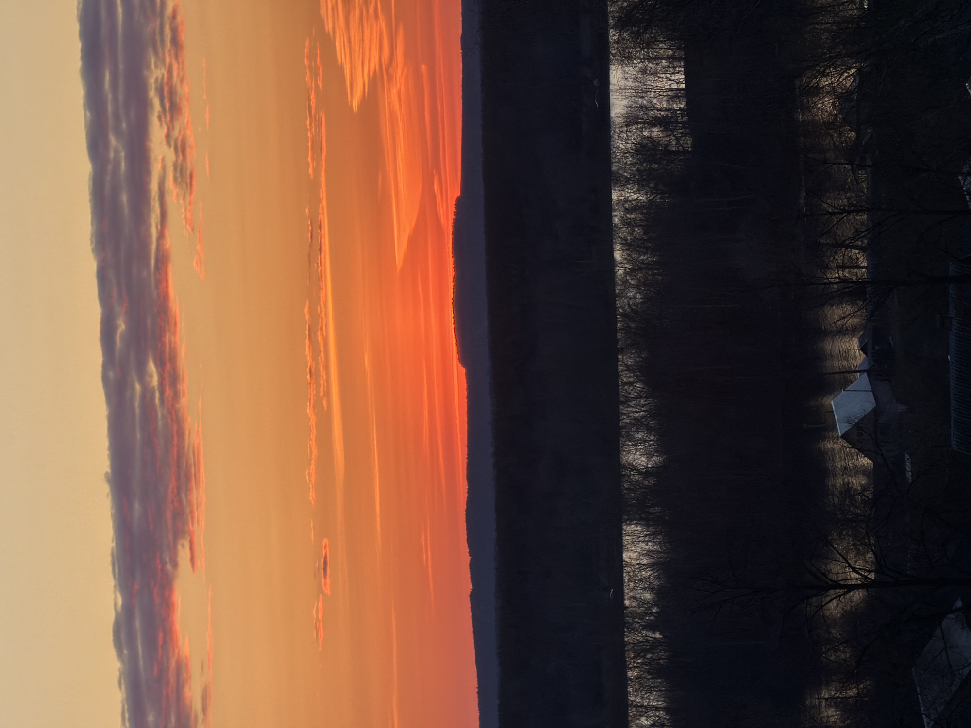 Sunset scenes and cat captured in Chaikovsky, Russia