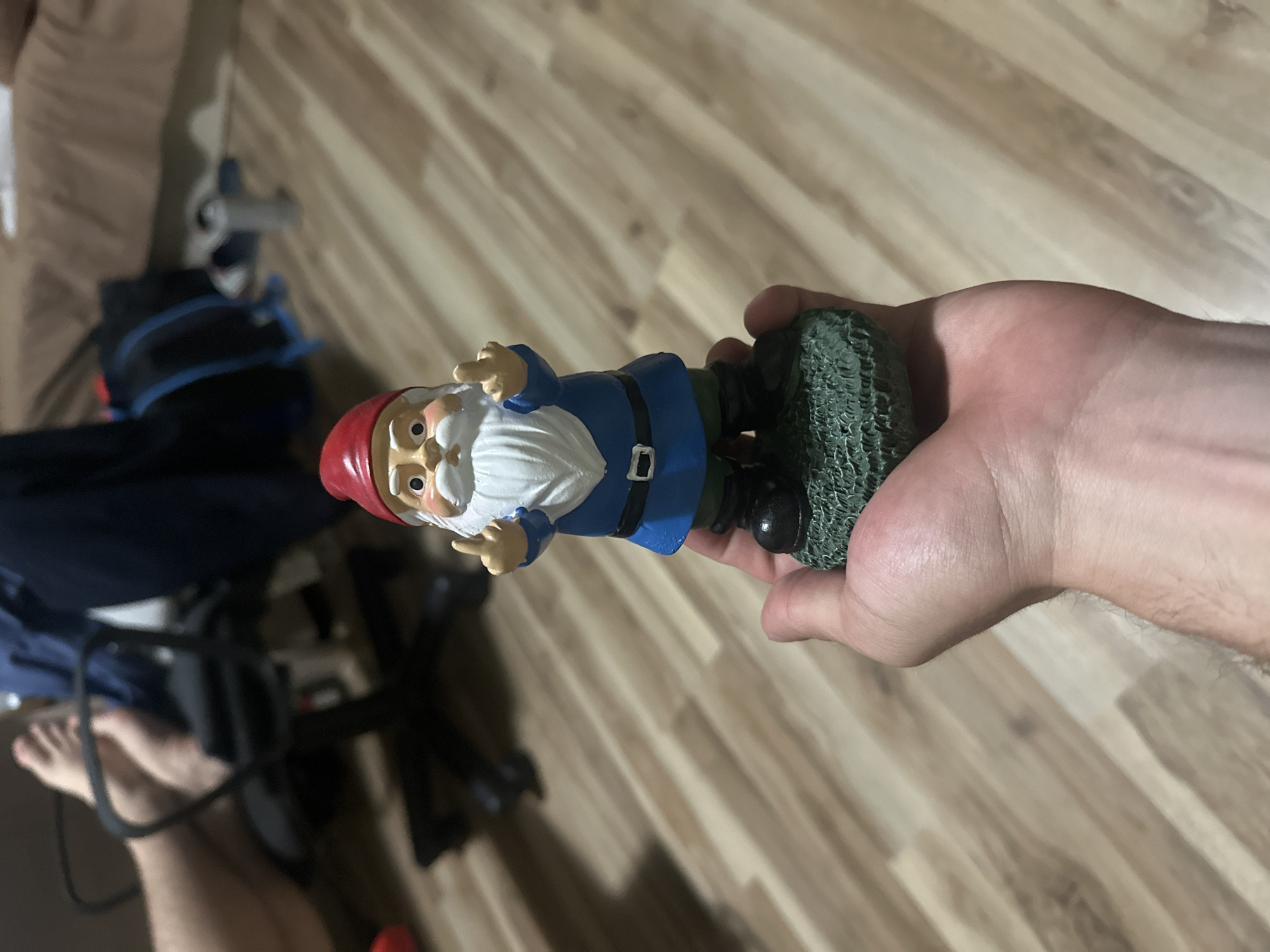 Young men gather with offensive garden gnomes in Bulgaria