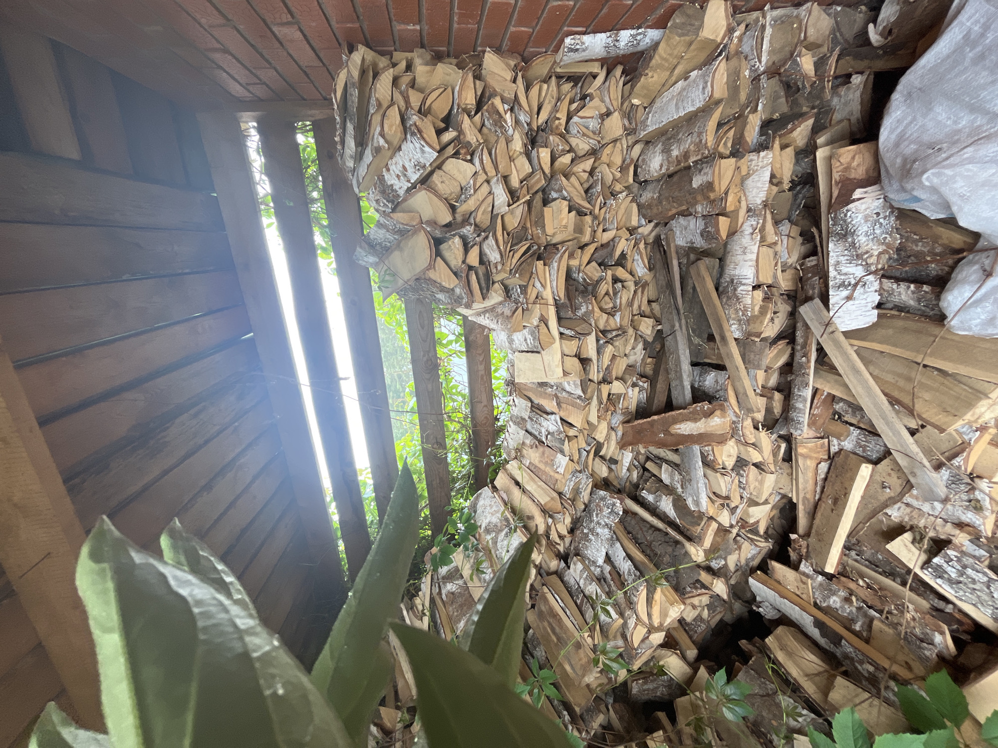 Rural life documented in Garevaya: firewood, flowers, garden scenes