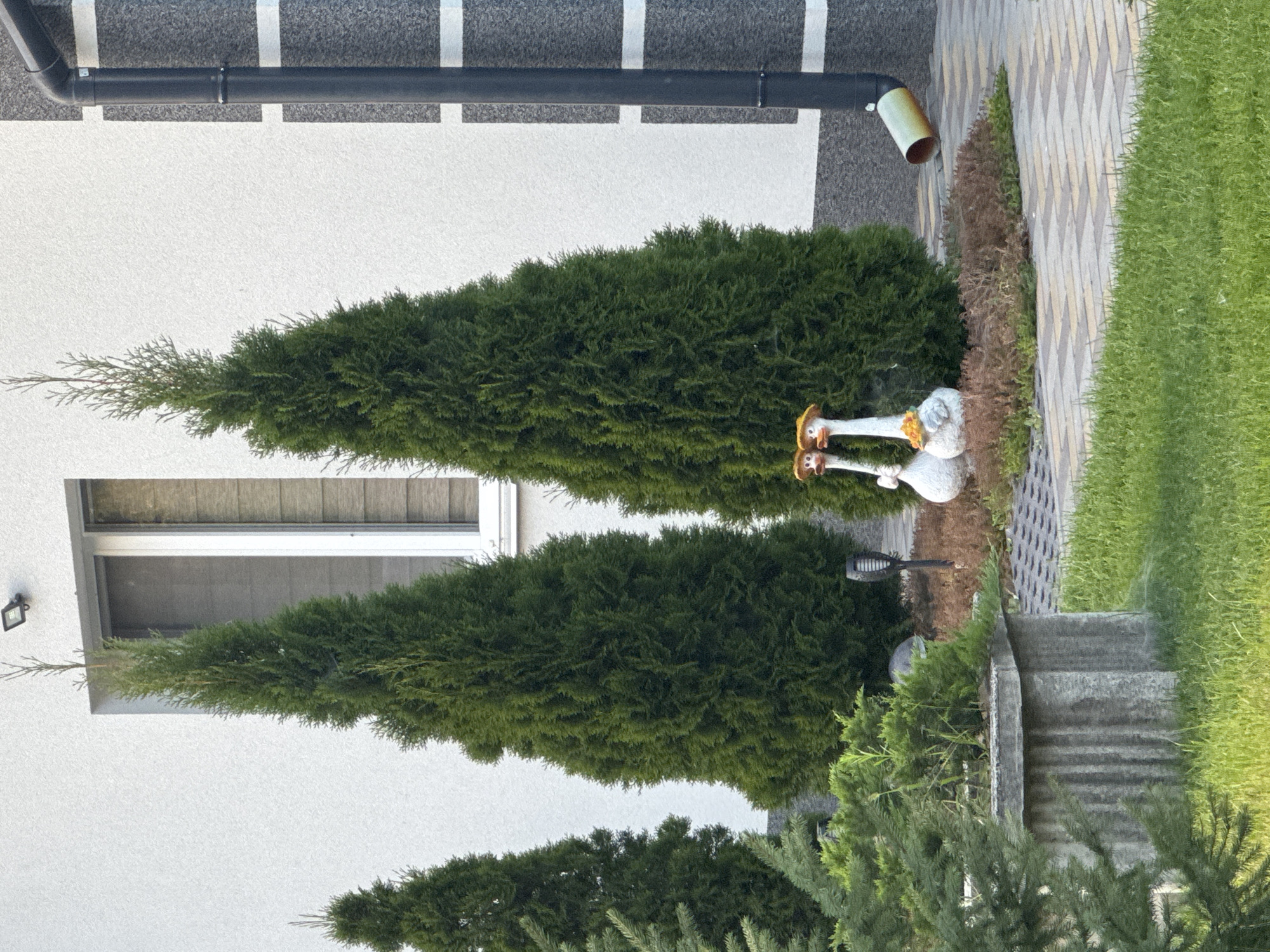 White residential house with tidy garden, Kremenchuk, Ukraine