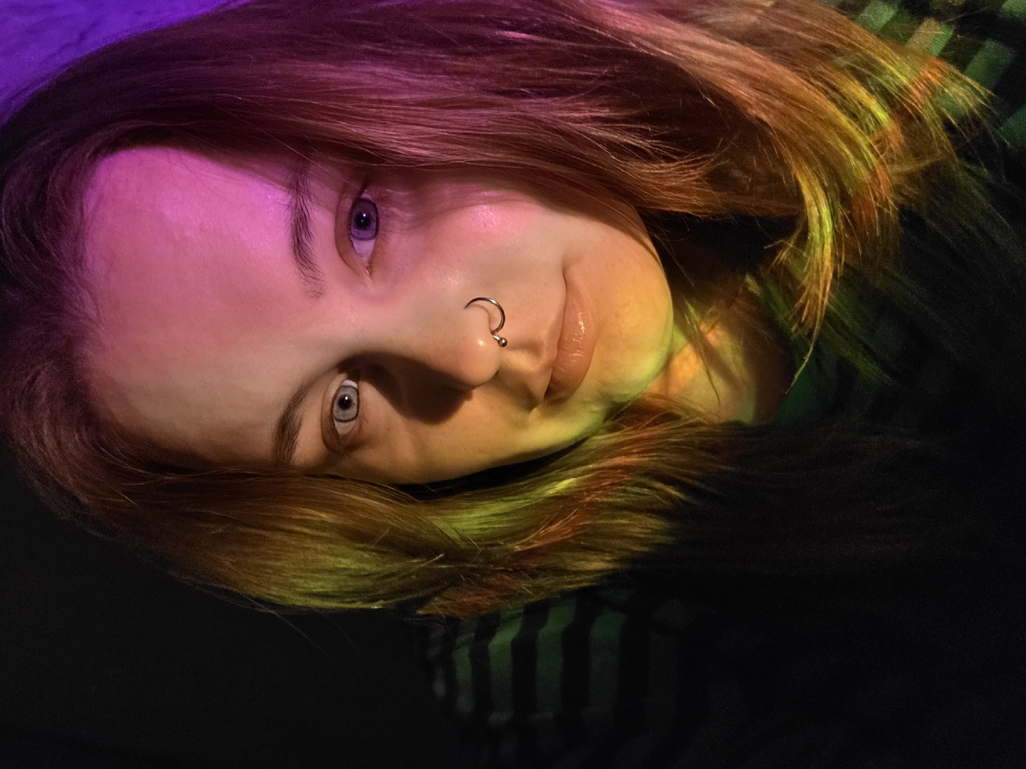 A Minsk evening: cats, flowers, colored lights, and city streets