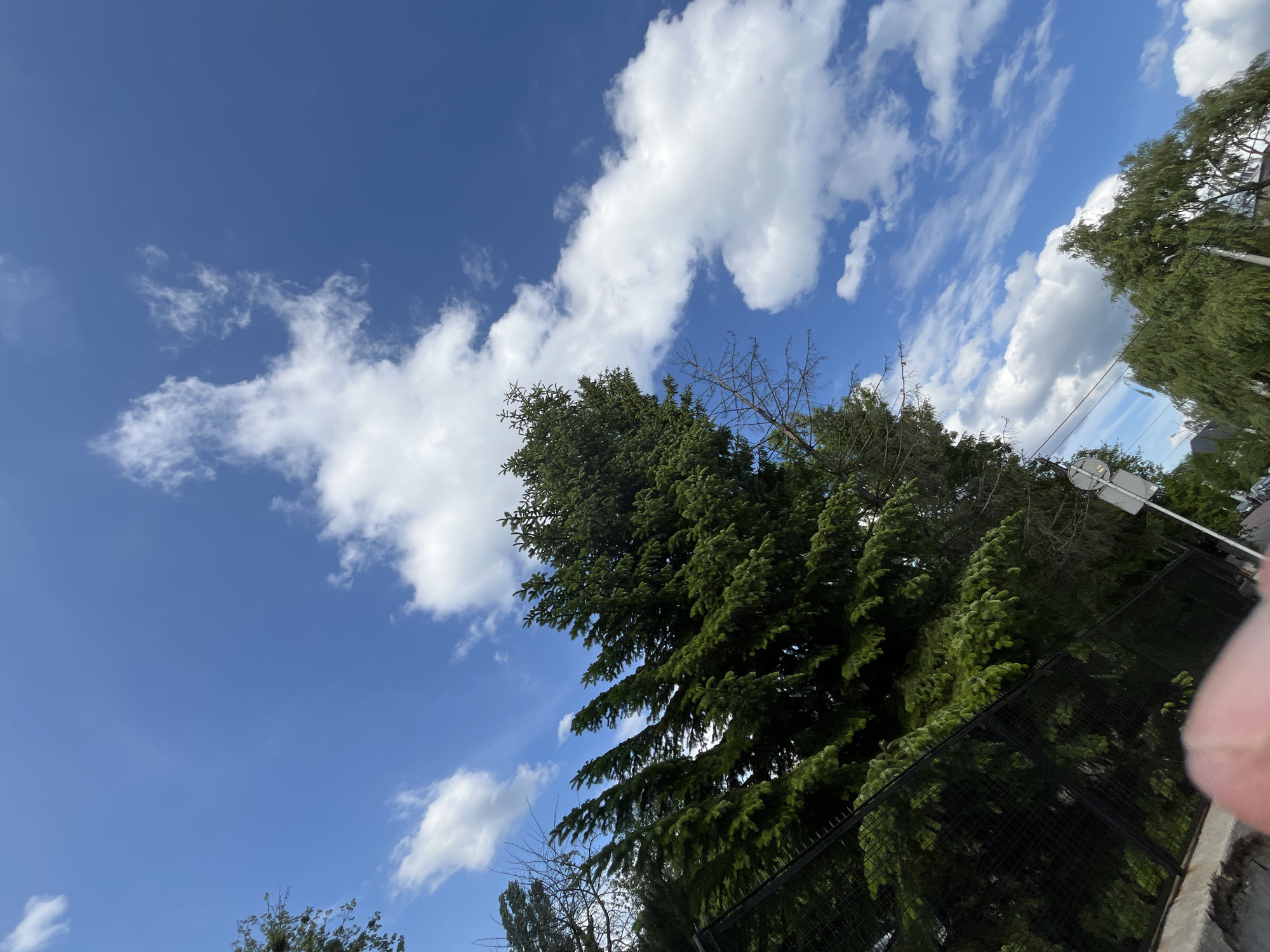Urban street scenes captured looking skyward on May afternoon