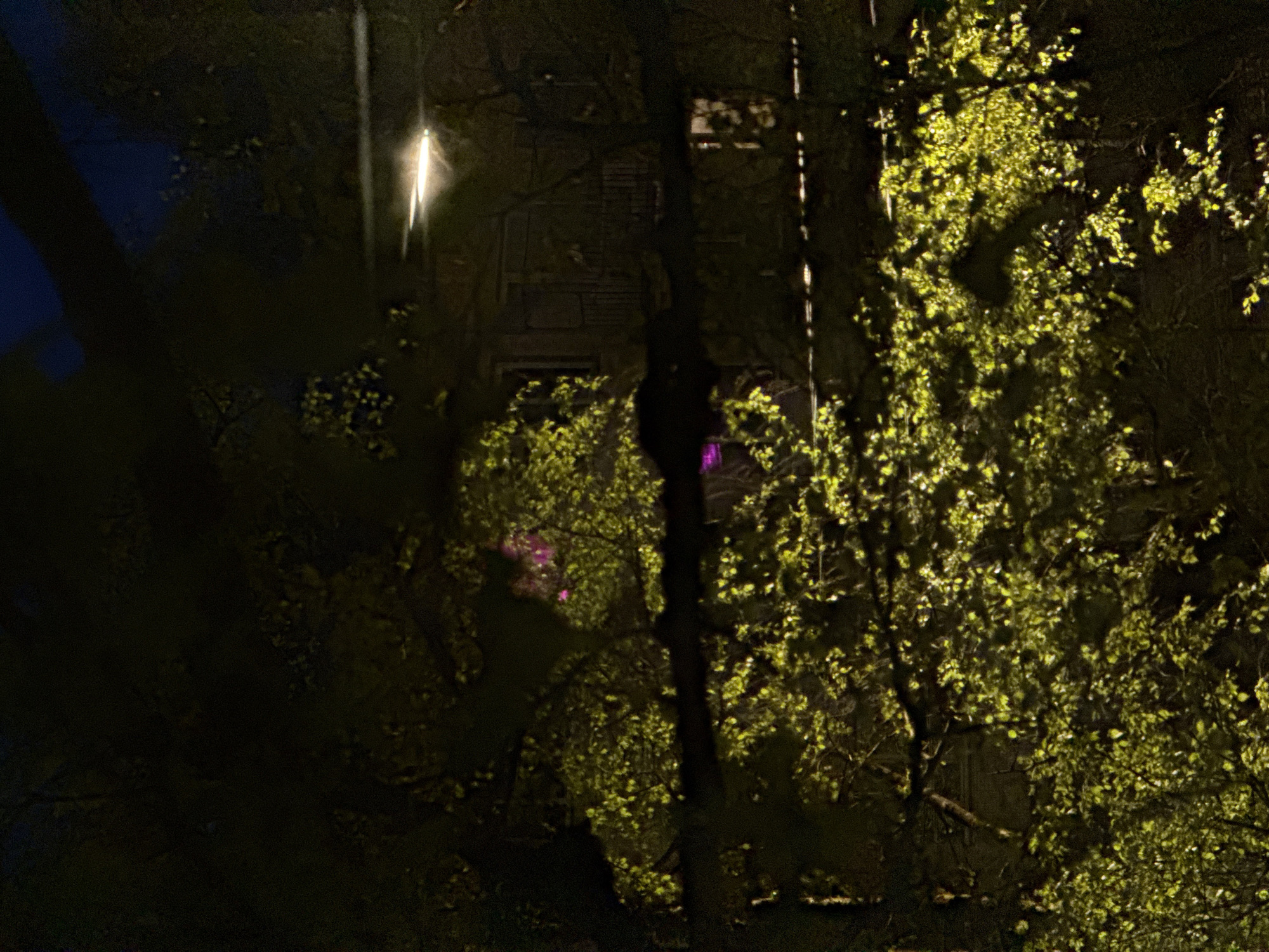 Nighttime streetlight scene captured in Saint Petersburg