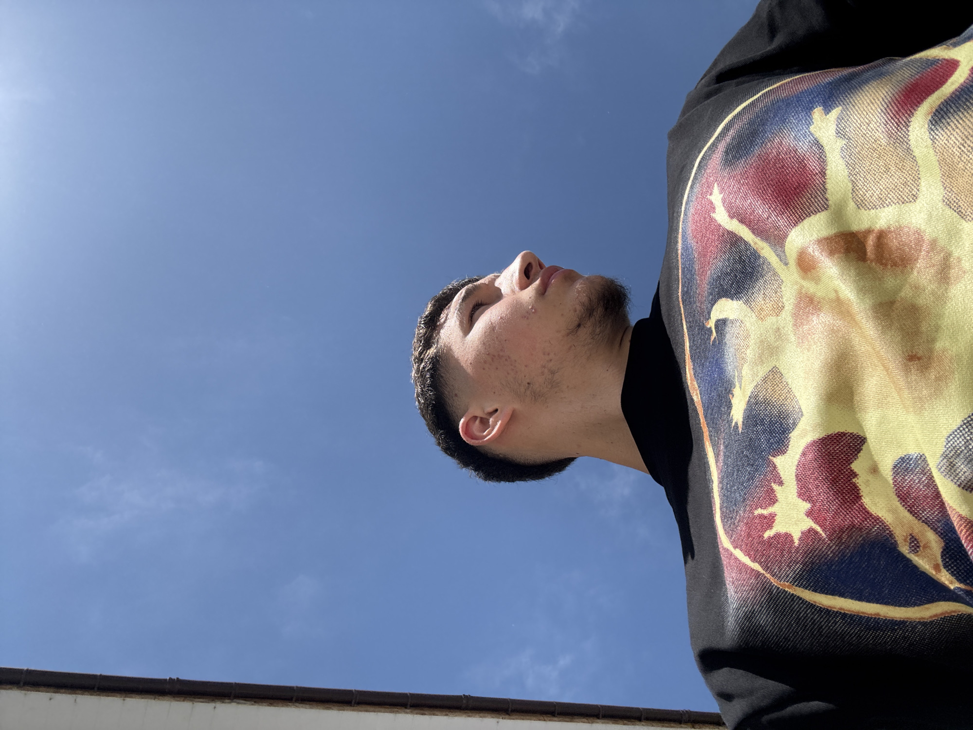 Person observed gazing skyward in Zlatograd, Bulgaria