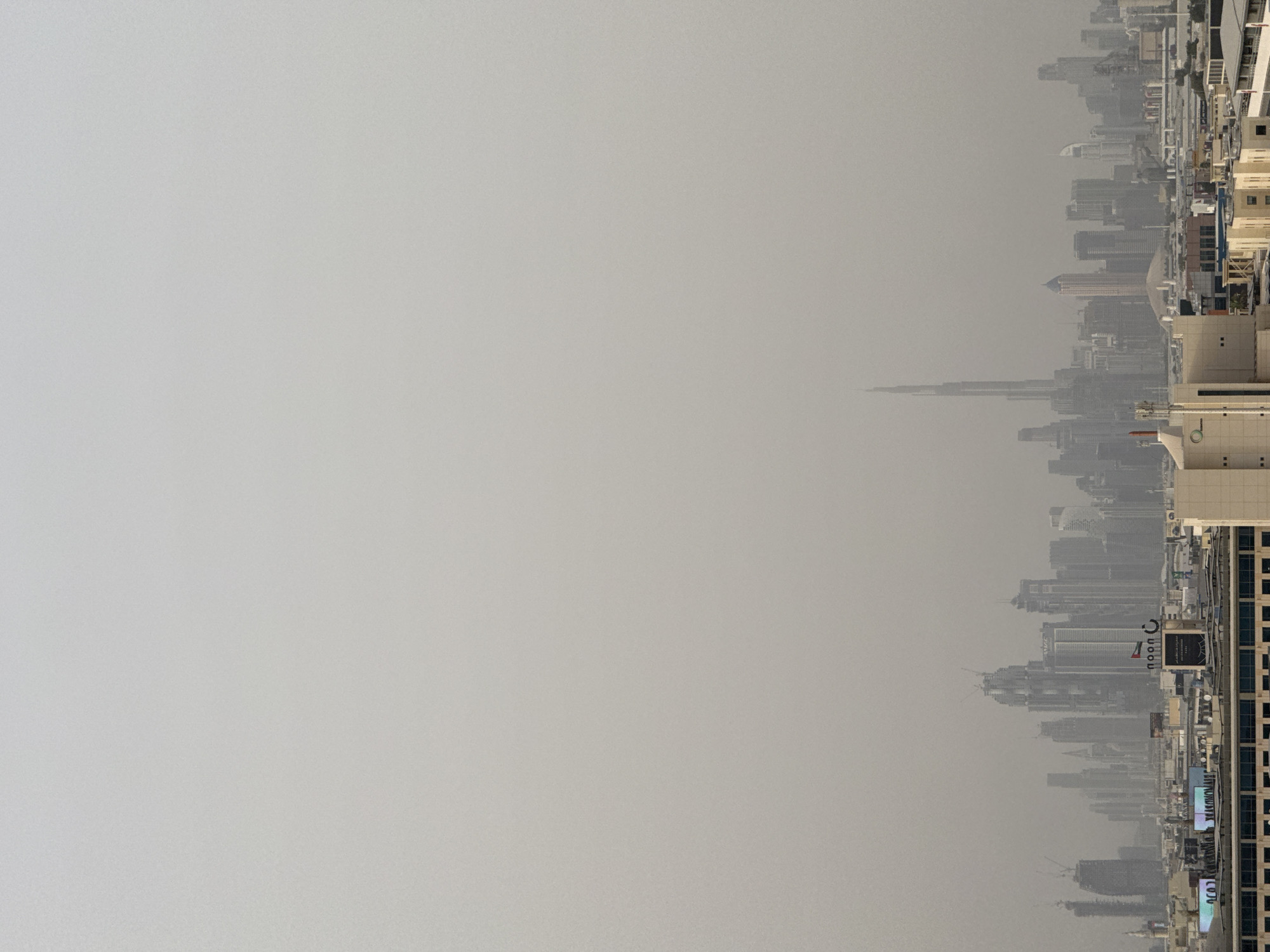 Dubai witness captures hazy skyline and ducklings on grey afternoon