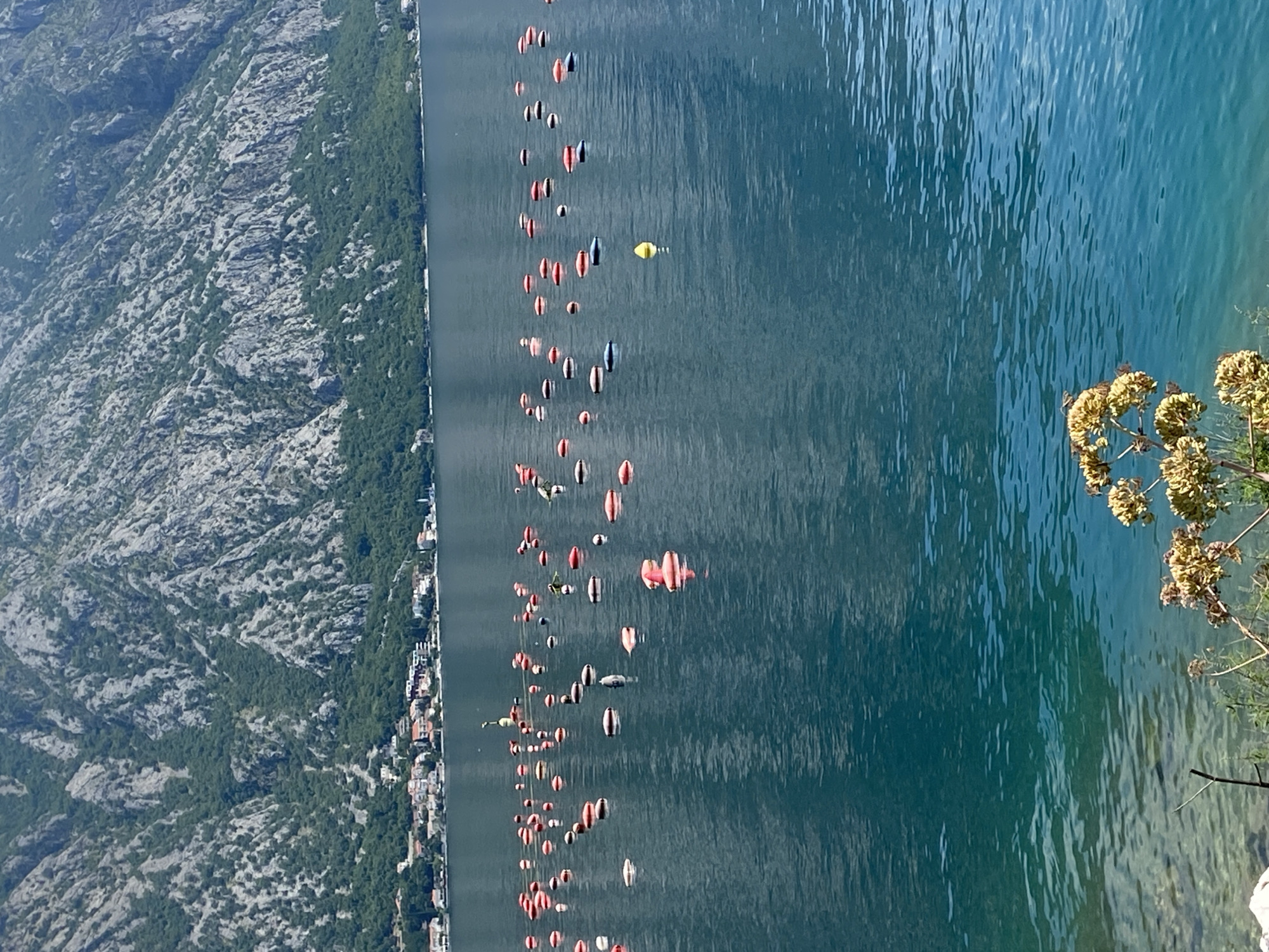 Fish farms and coastal beauty documented in Bay of Kotor