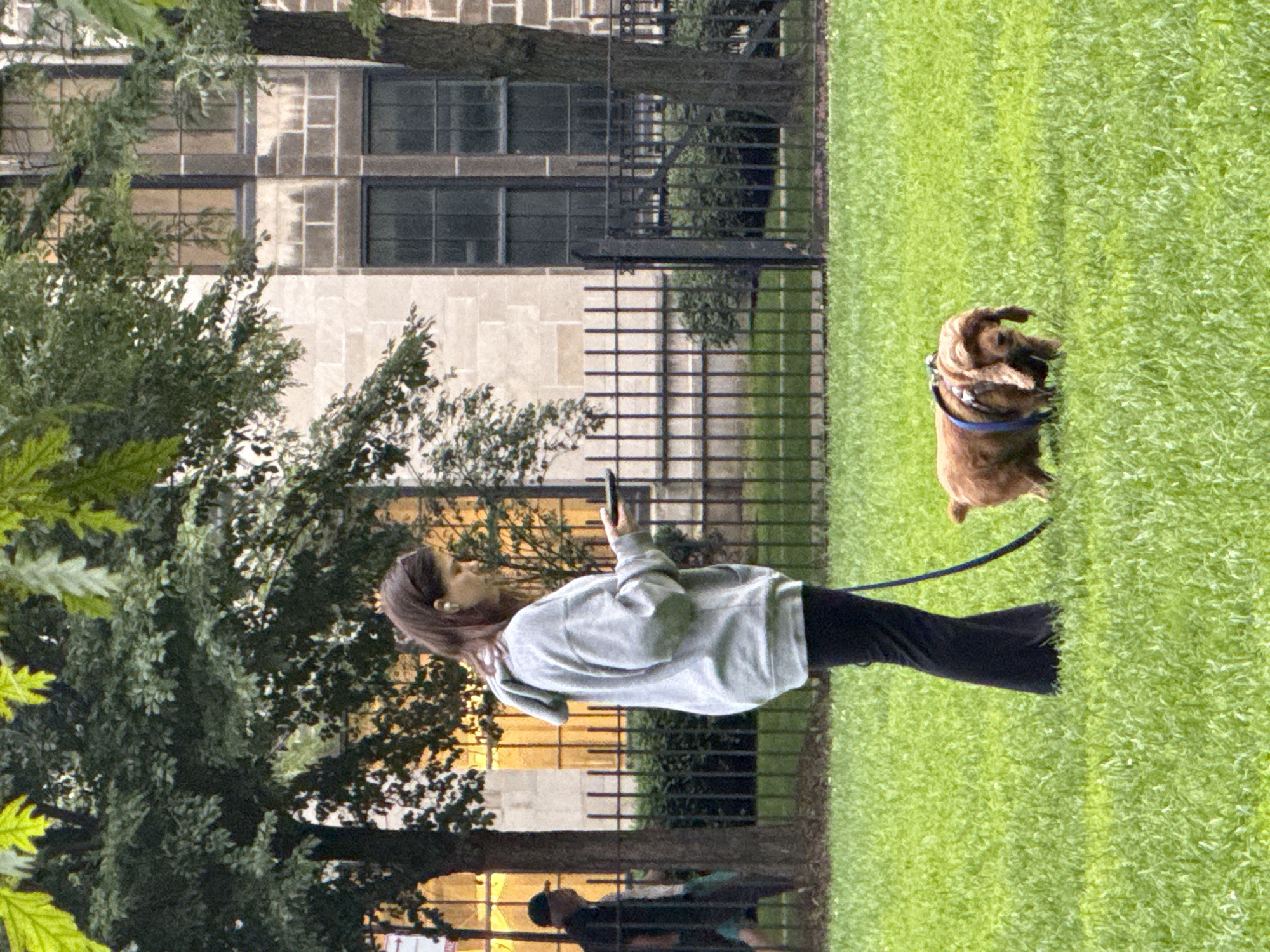 Dogs and people share a Chicago park track at night