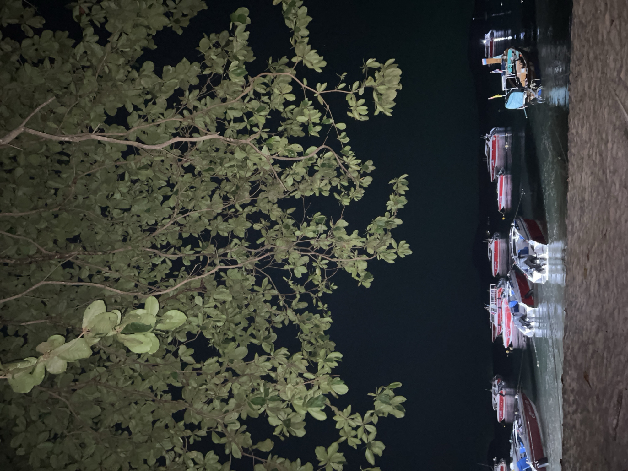 Nighttime pier scene with docked boats captured in Rawai
