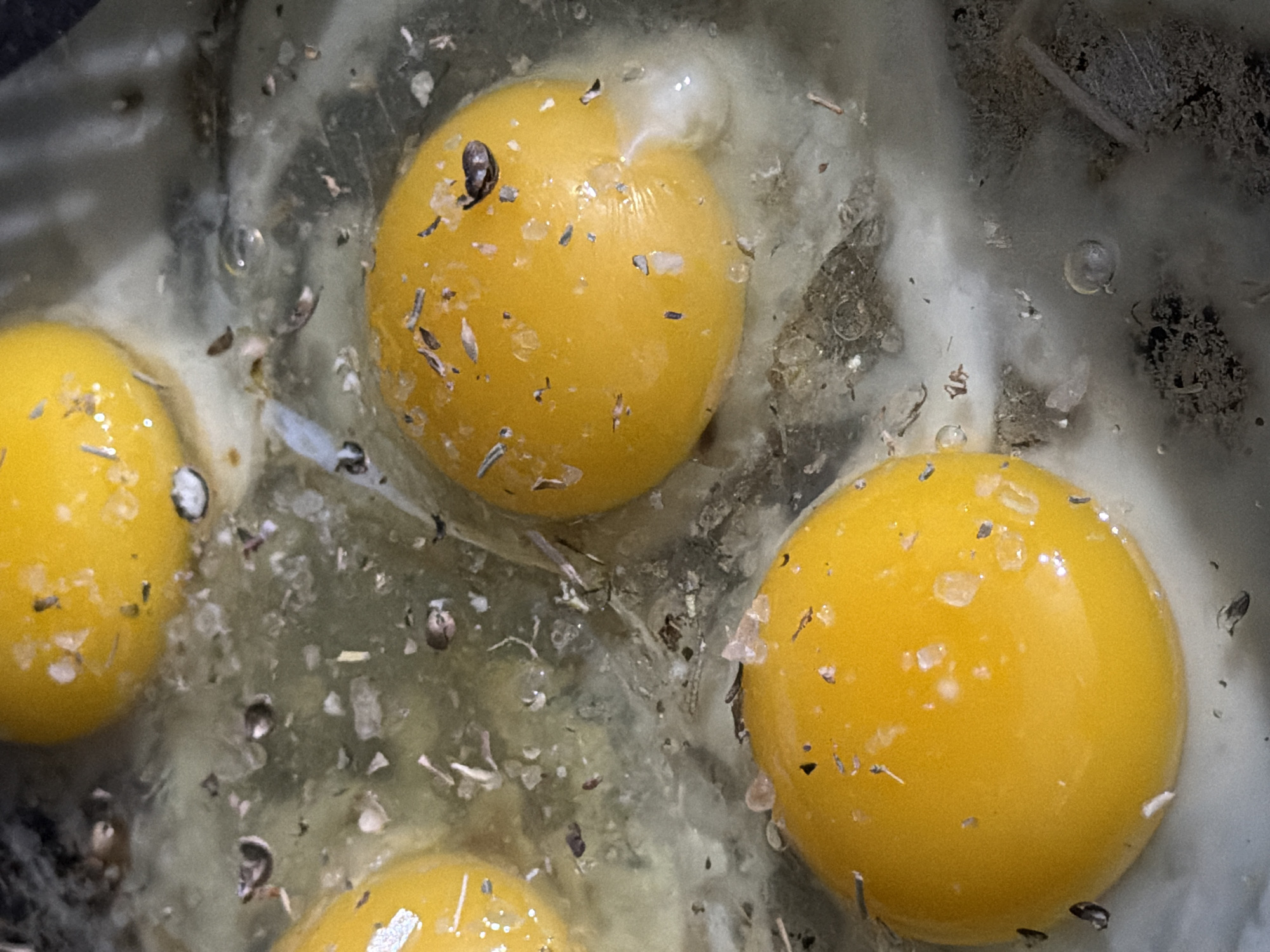 Raw eggs prepared for cooking observed in Tbilisi kitchen