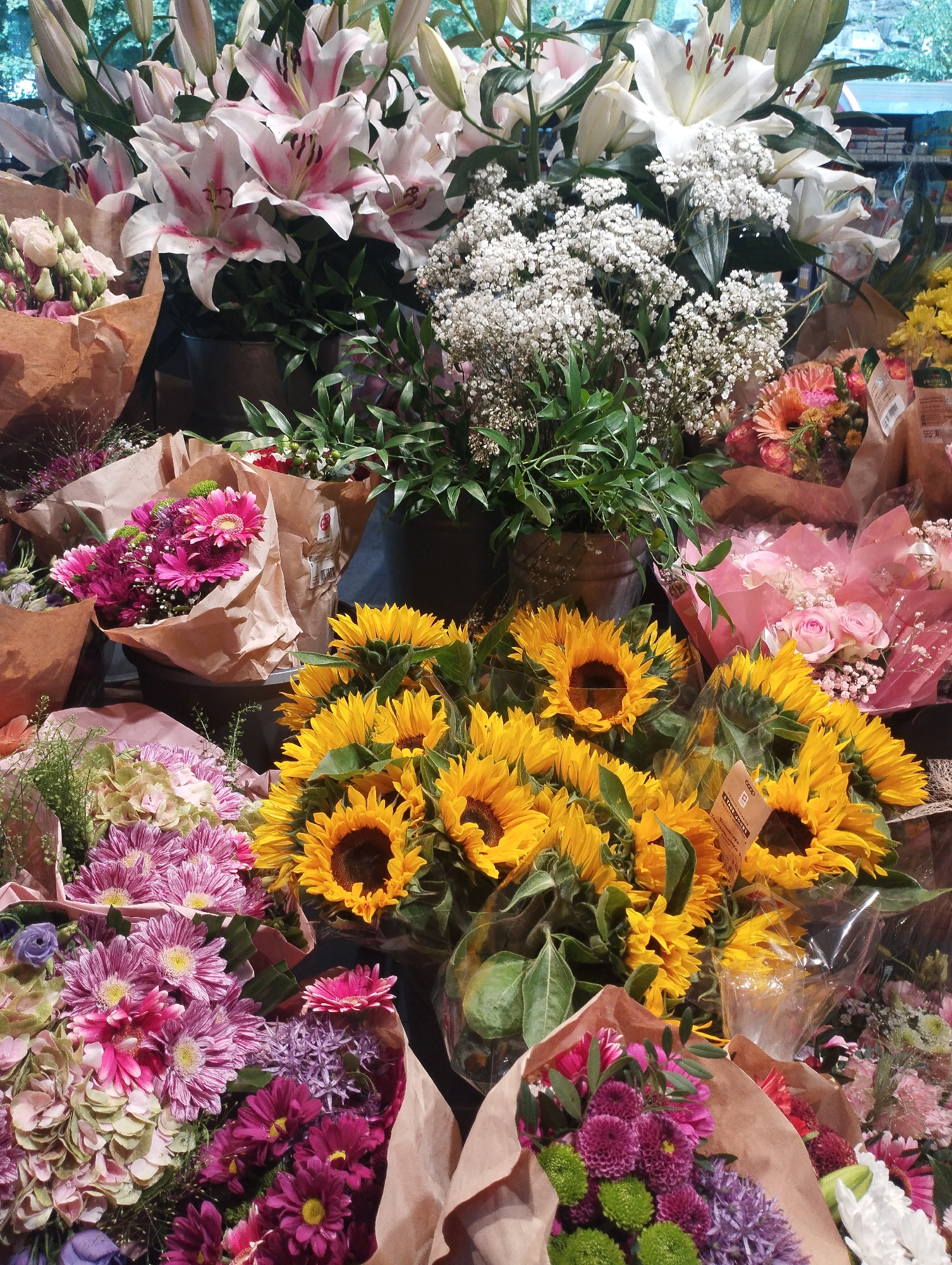 Market day colors and alpine views in Biasca