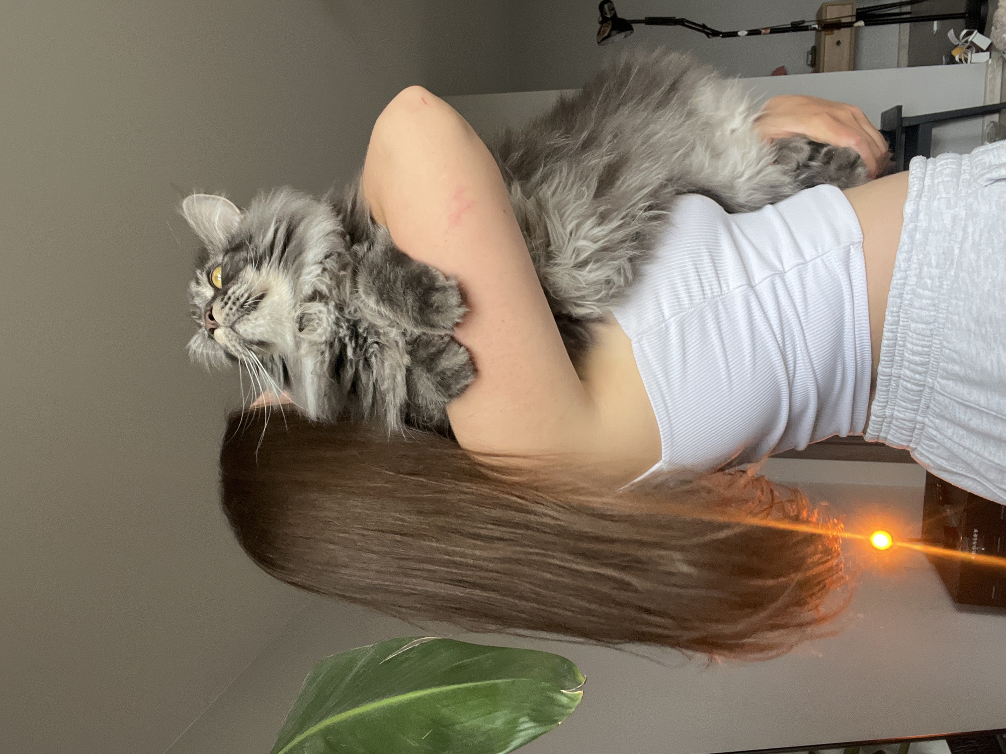 Woman takes mirror selfies with cat in Ternopil home