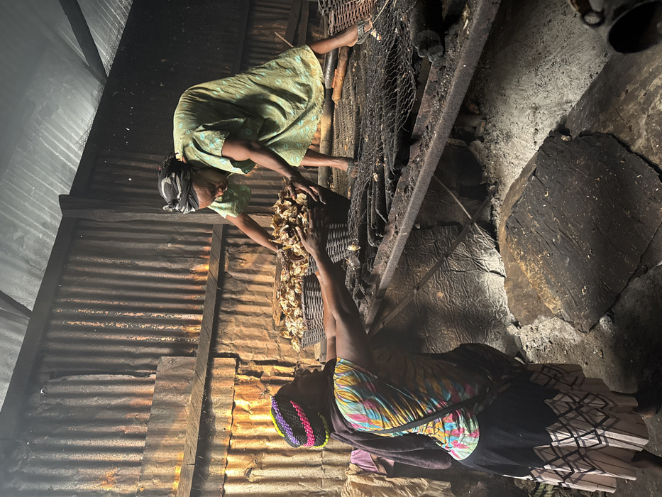 Women process dried fish at Cameroon smoking facilities
