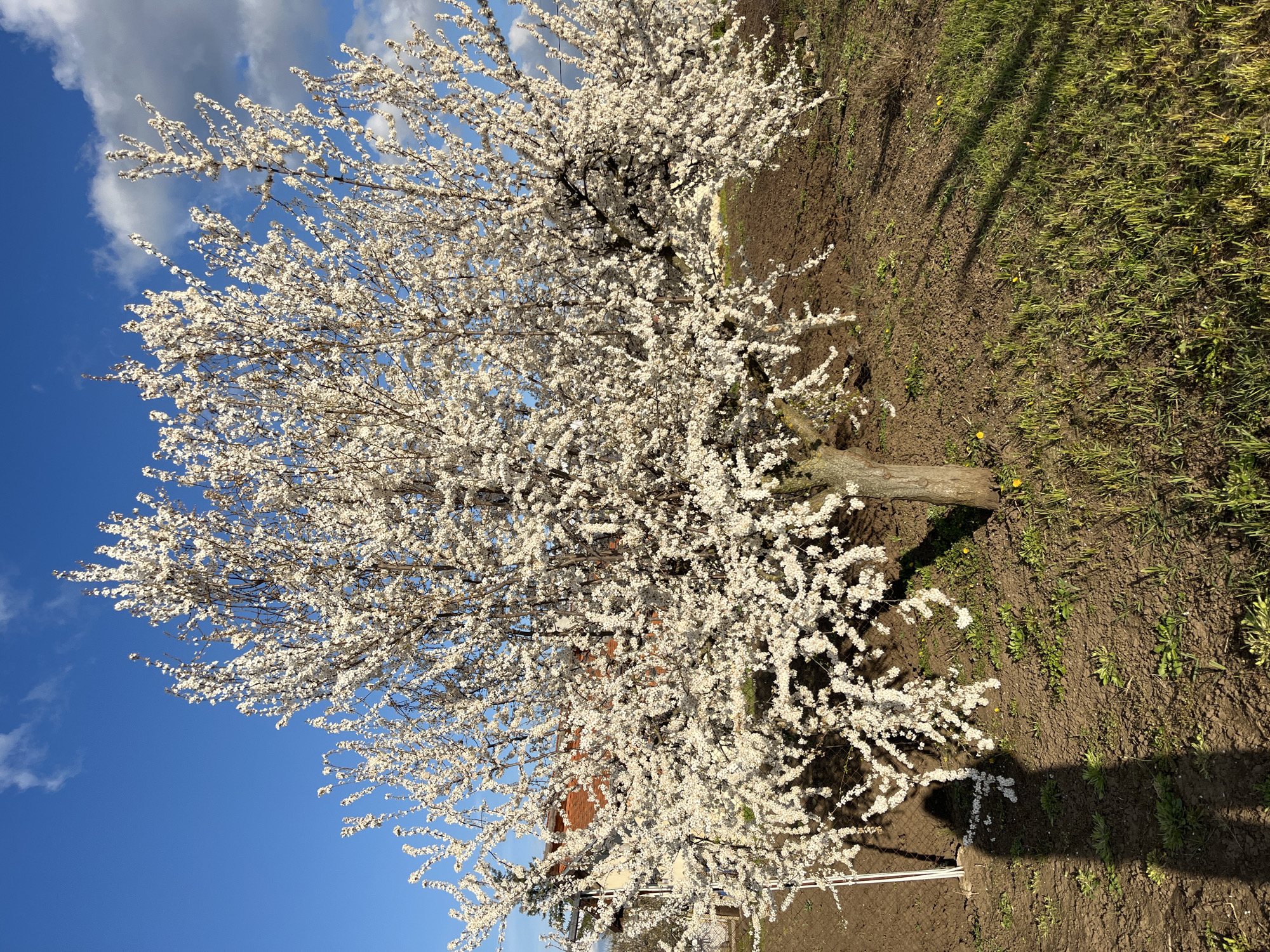 Spring scenes and Easter preparations captured in Dobrich, Bulgaria