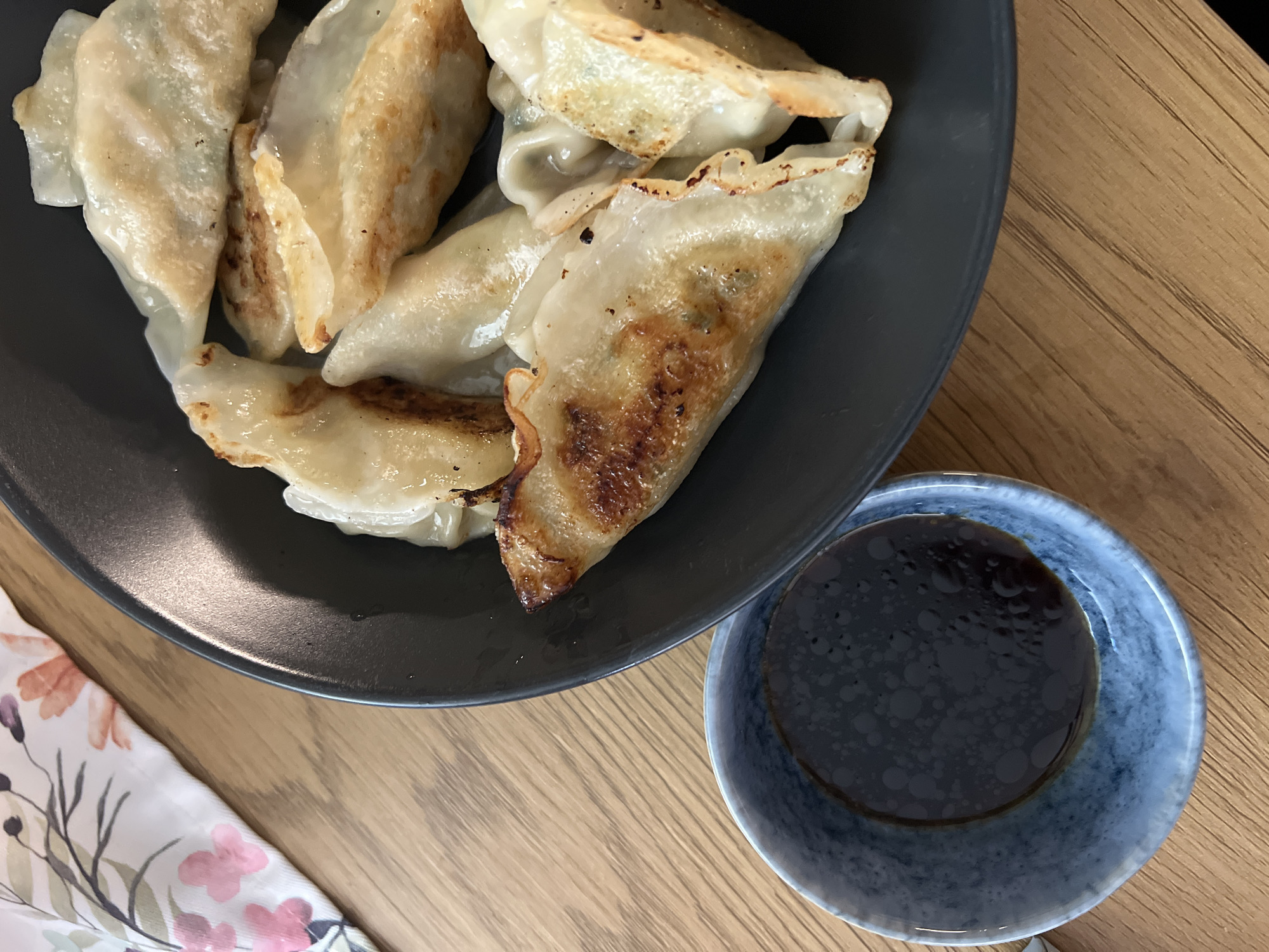 Pan-fried dumplings served with sauce documented in Sofia