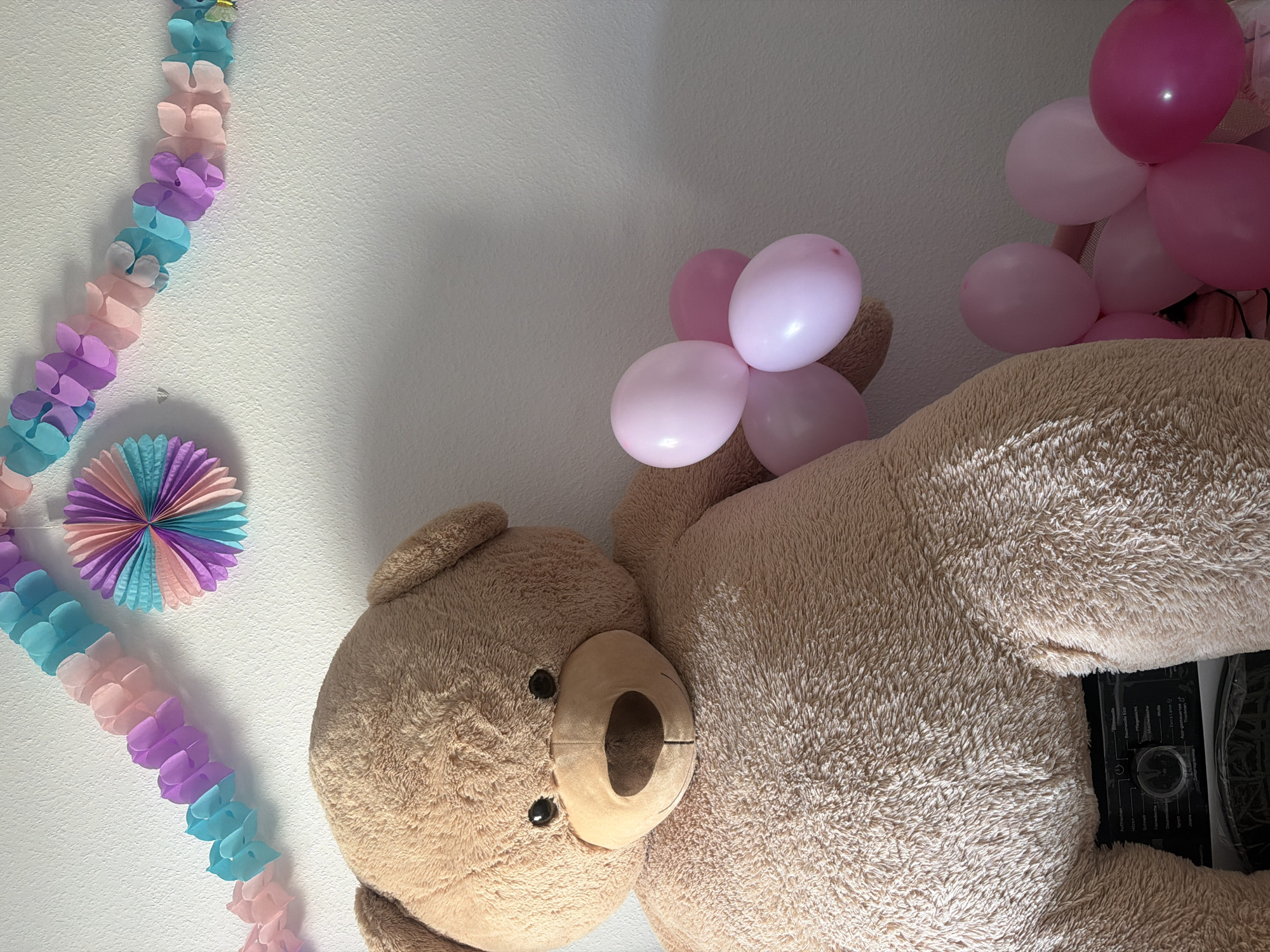 Teddy bear with pink balloons spotted in Frankfurt