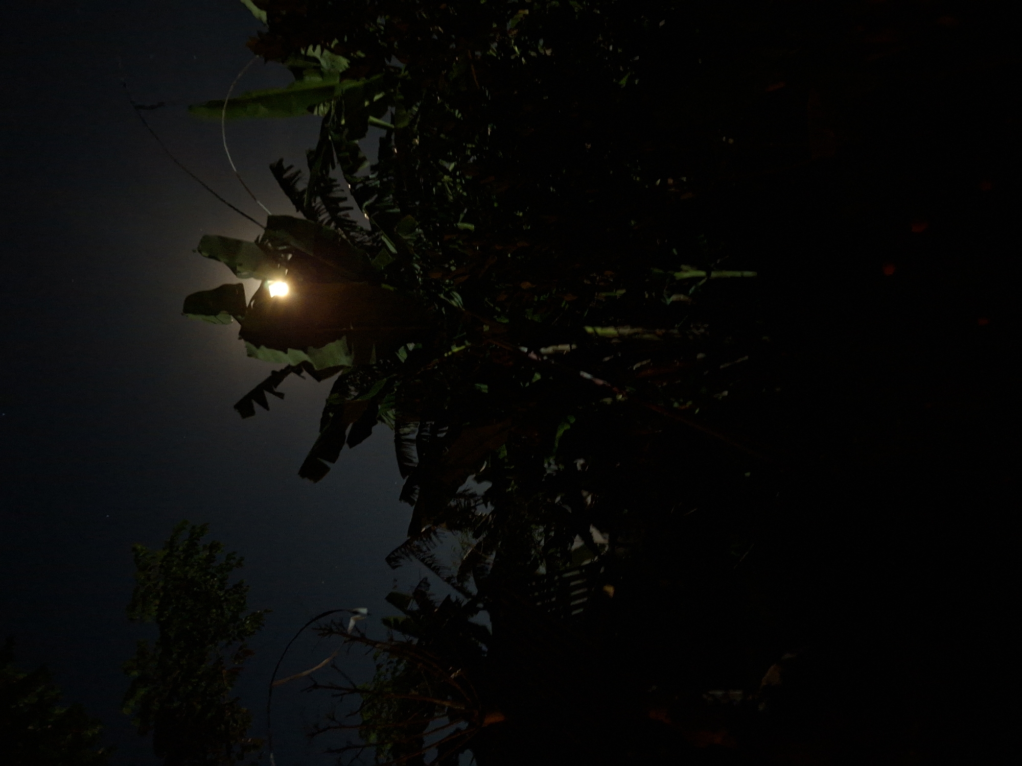 Nighttime residential scene captured in Ubud District, Indonesia