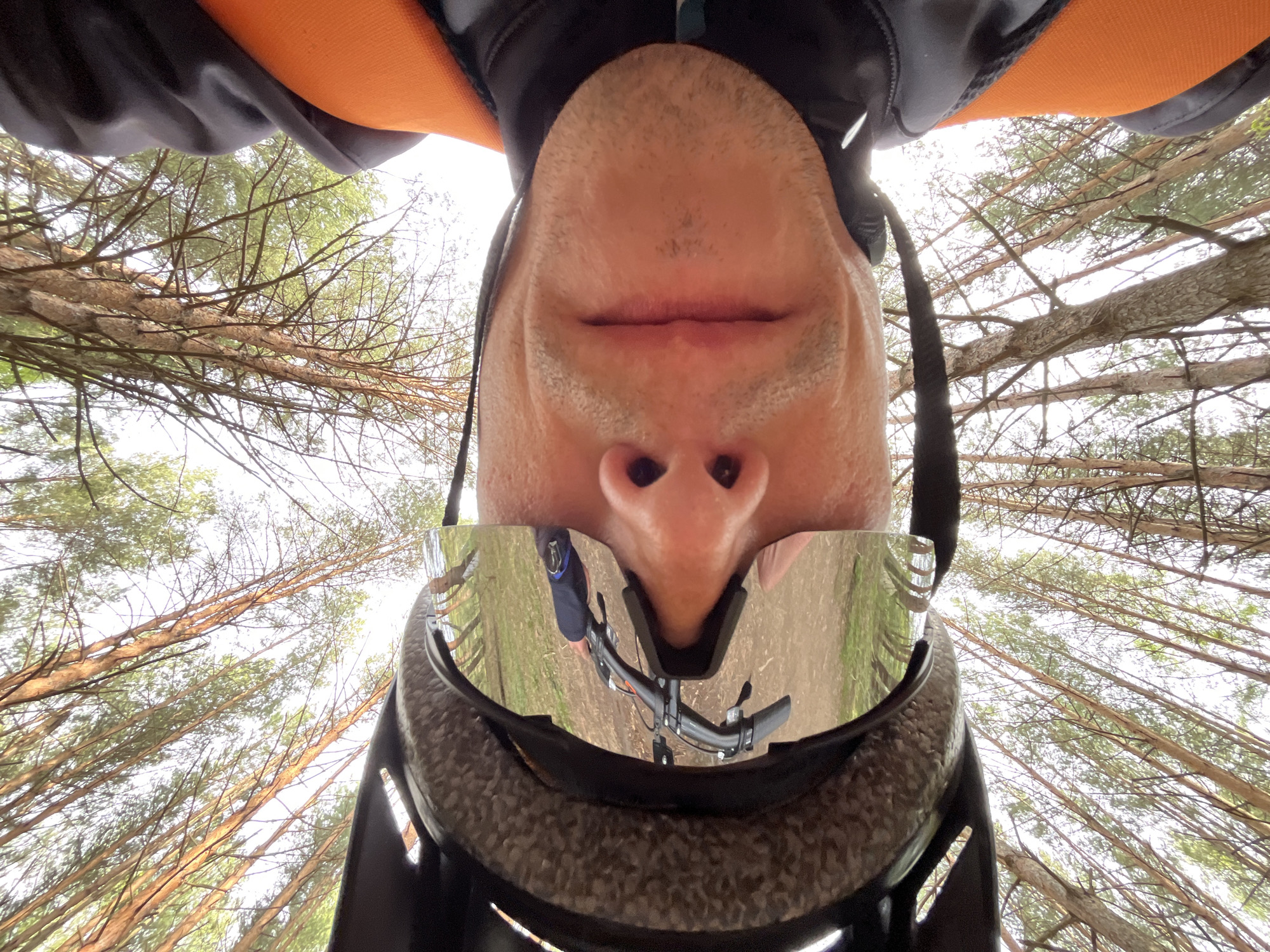 Cyclist photographed in pine forest near Chaikovsky, Russia