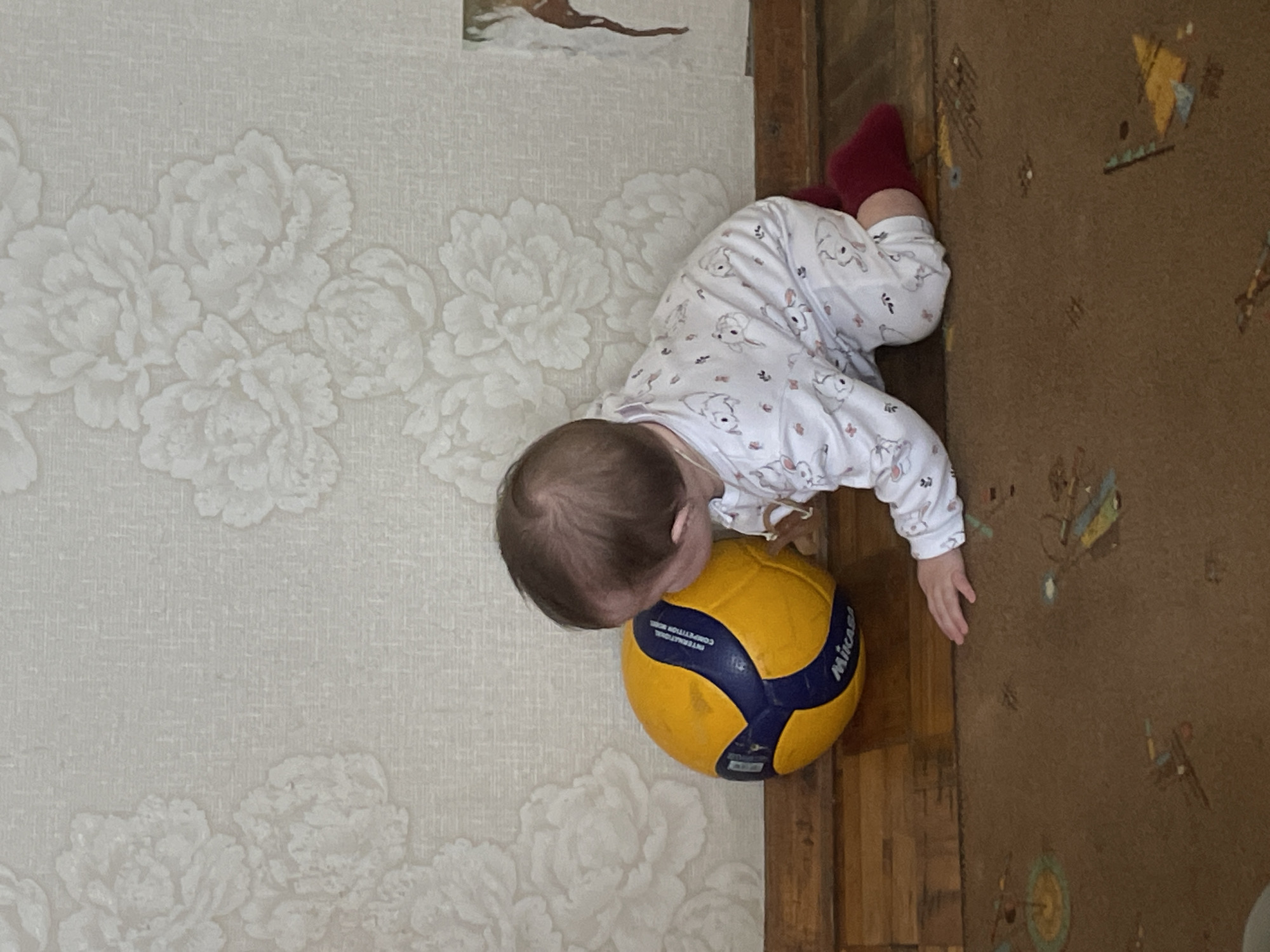 Domestic life moments with baby and cat documented in Sharkan