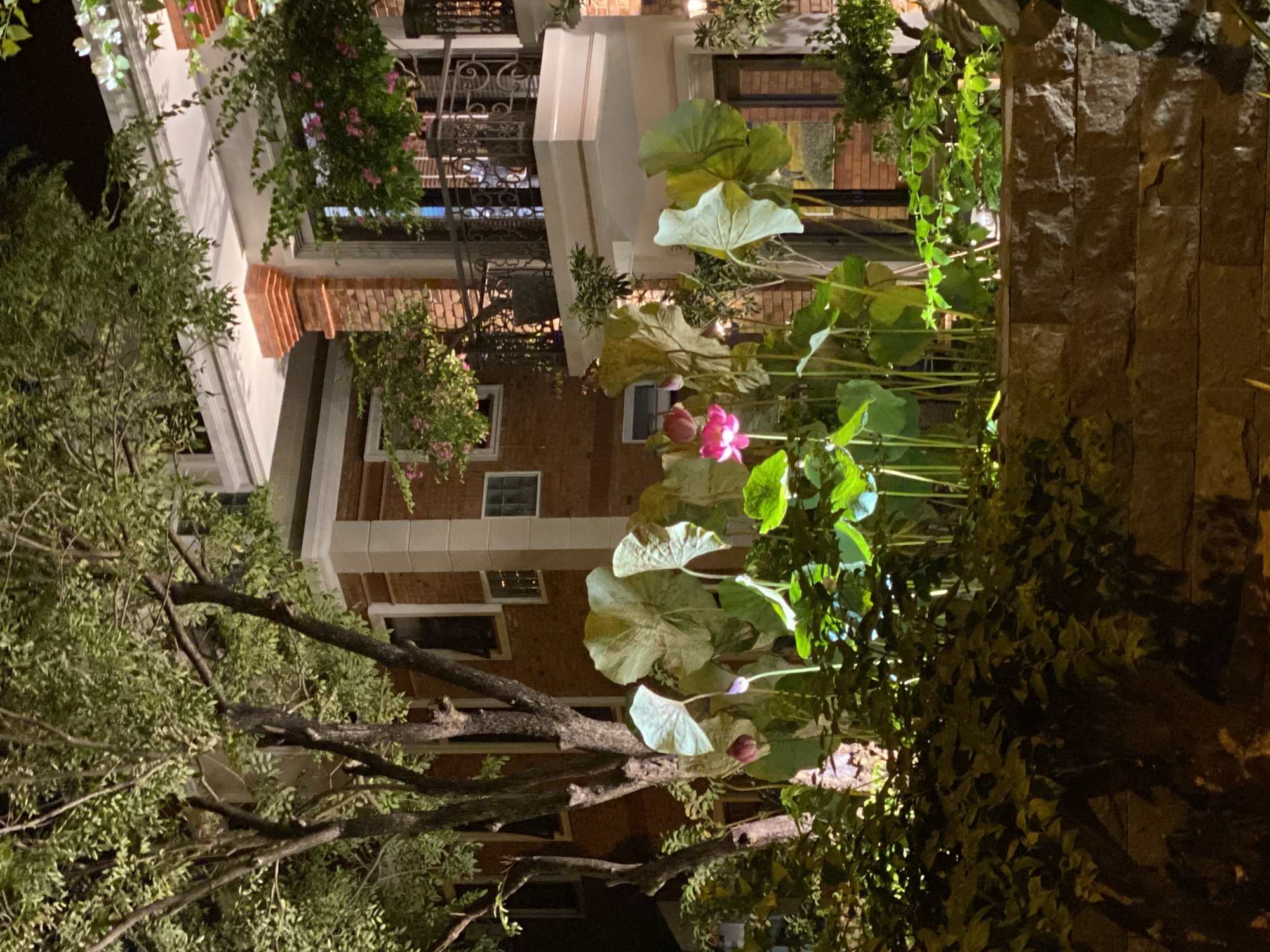 Nha Trang at night: streets, buildings, and roaming cats