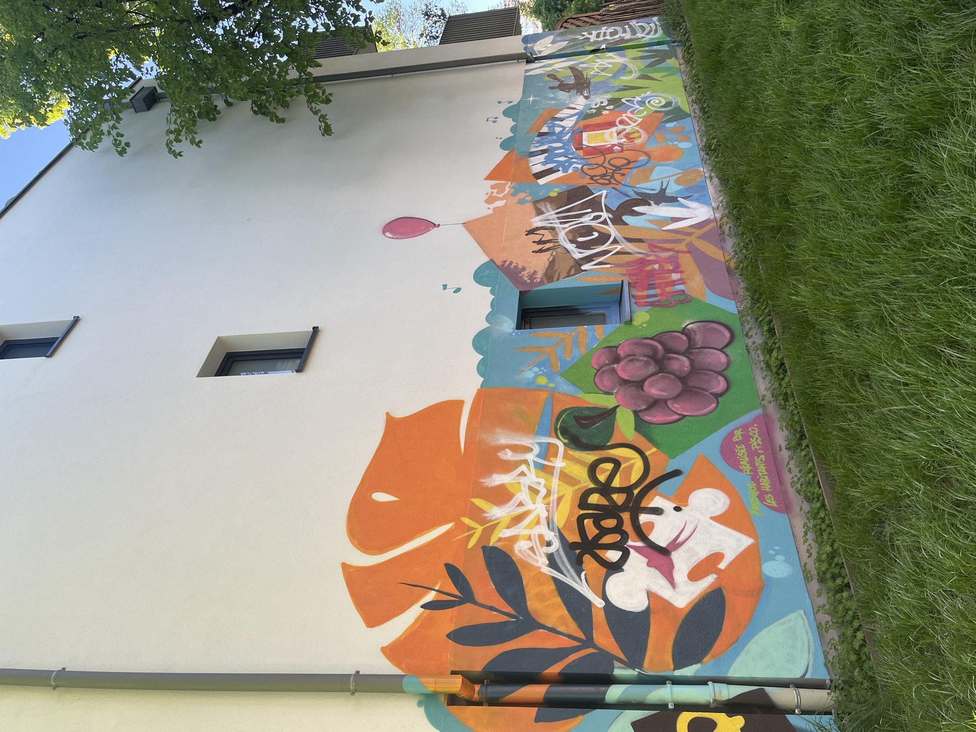 Morning scenes documented along Strasbourg canal and buildings